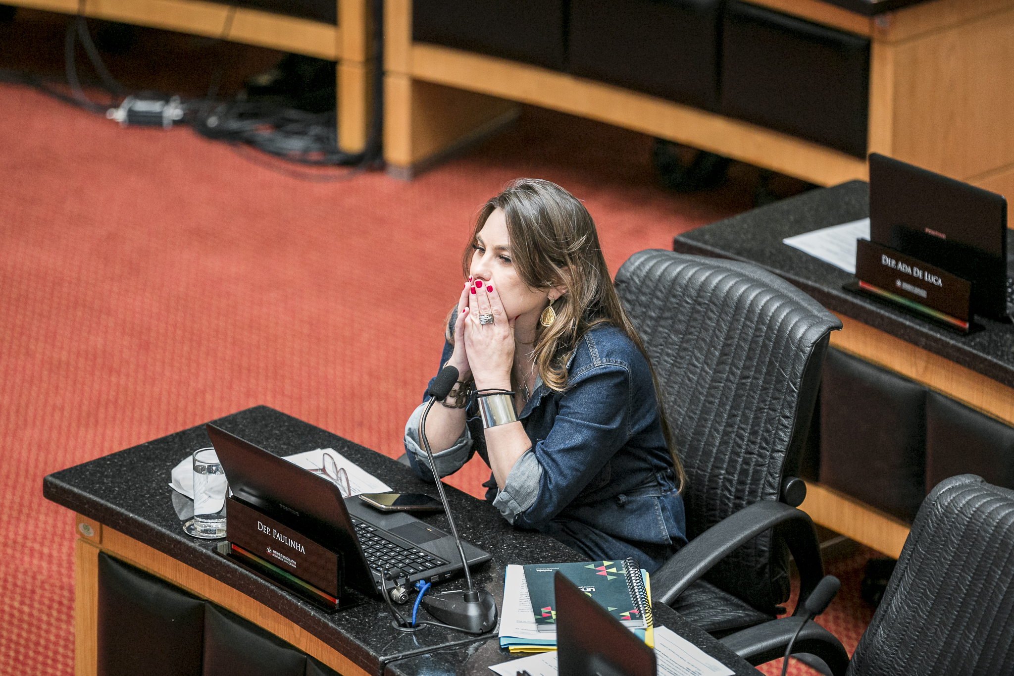 Deputada Ana Paula da Silva (PDT)