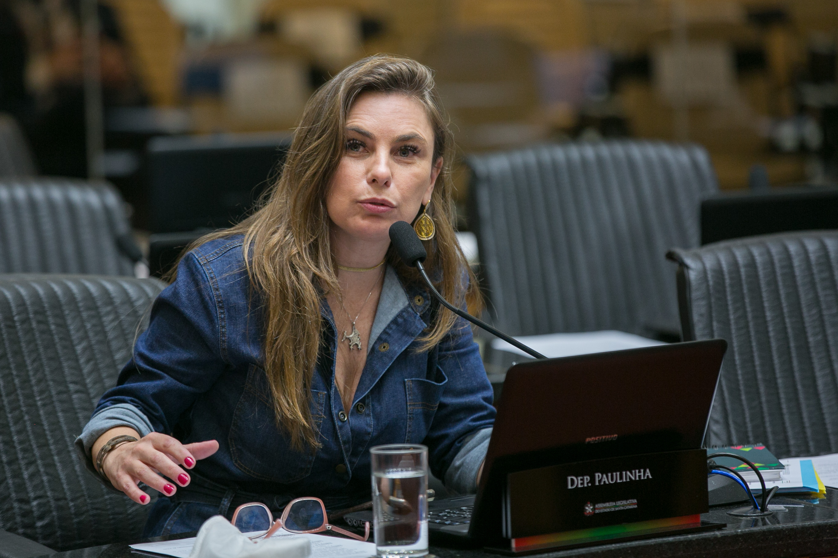 Deputada Paulinha (PDT)