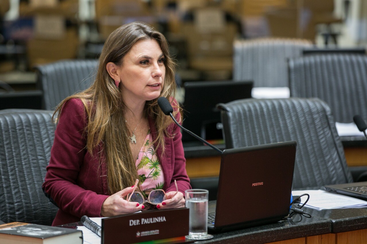 Deputada Paulinha
