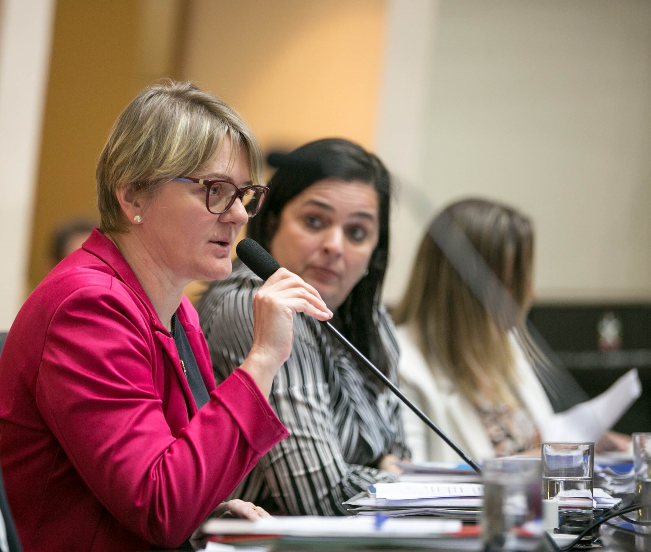 Deputada Luciane Carminatti