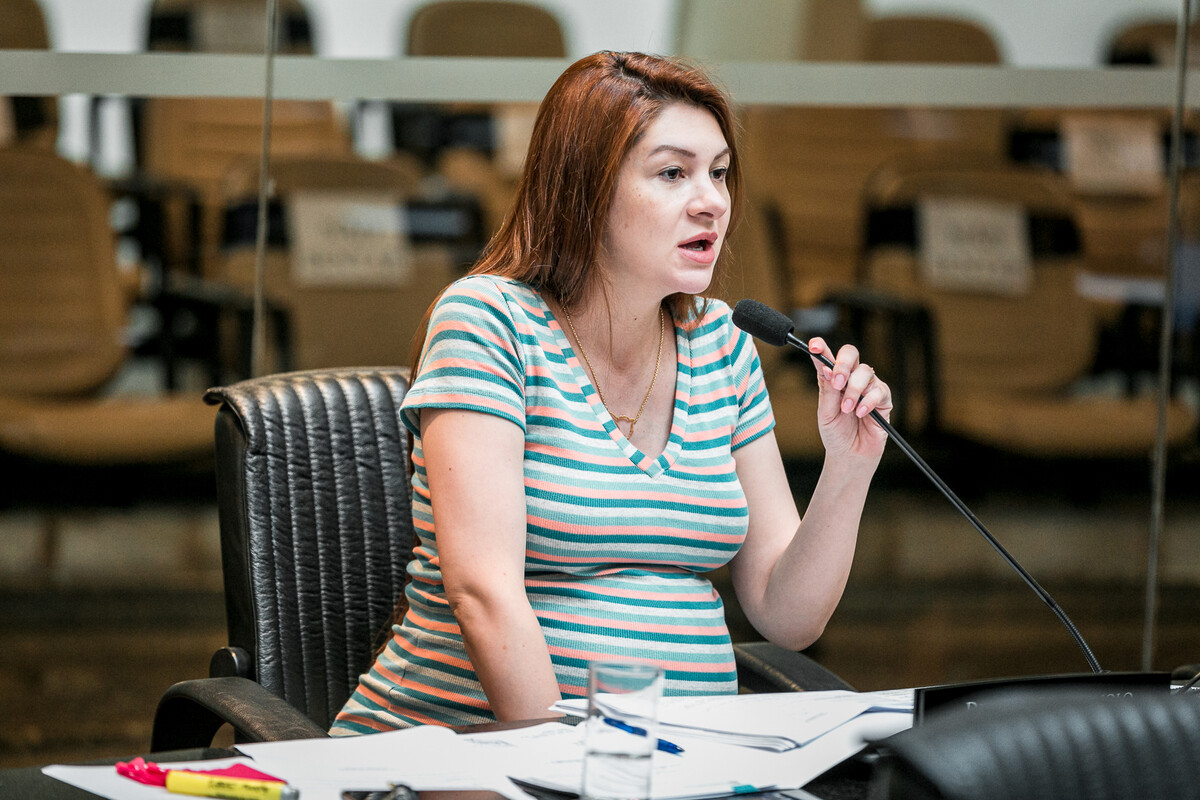 Deputada Ana Campagnolo