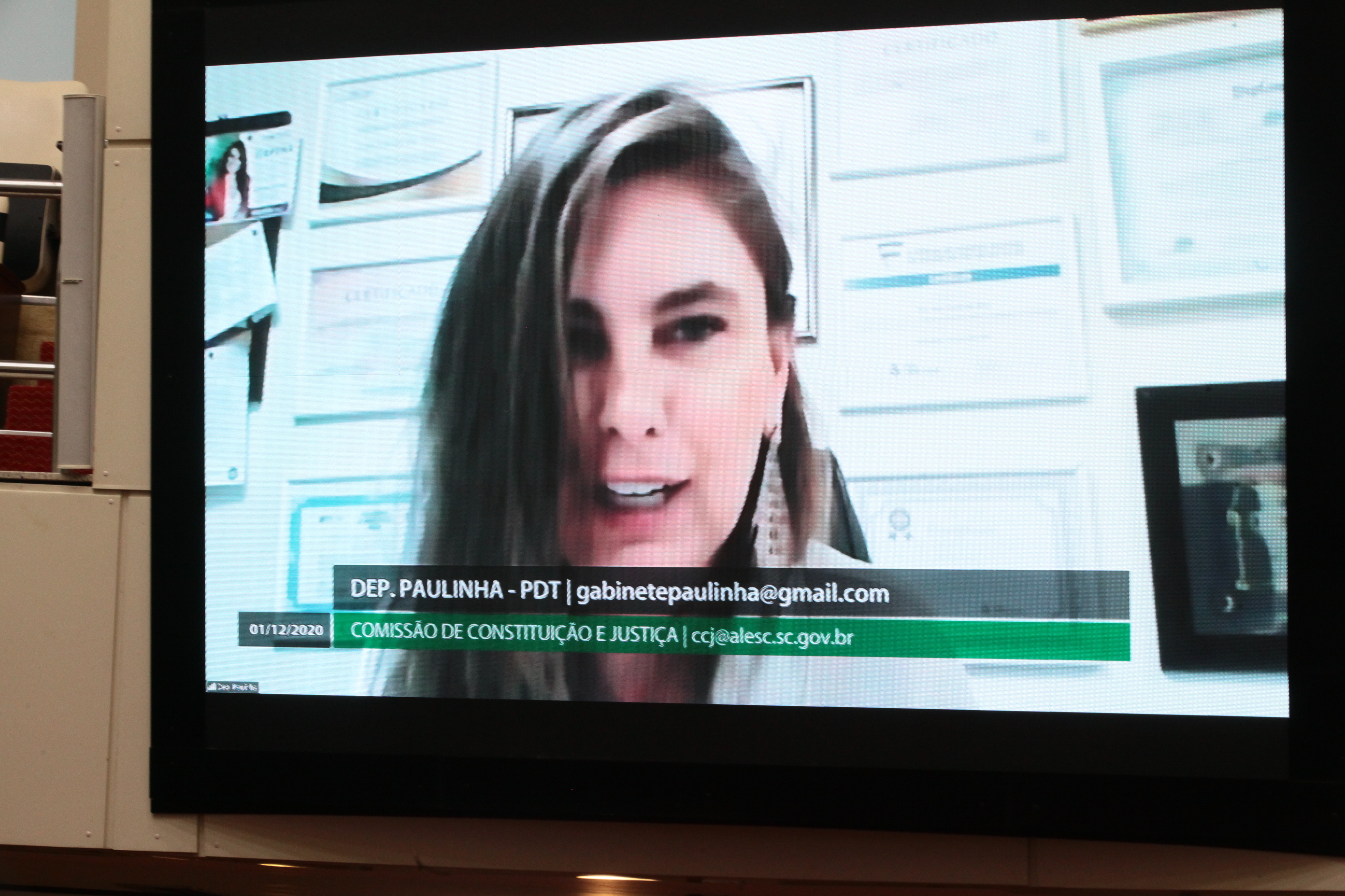 Comissão de Constituição e Justiça - Deputada Ana Paula da Silva (PDT)