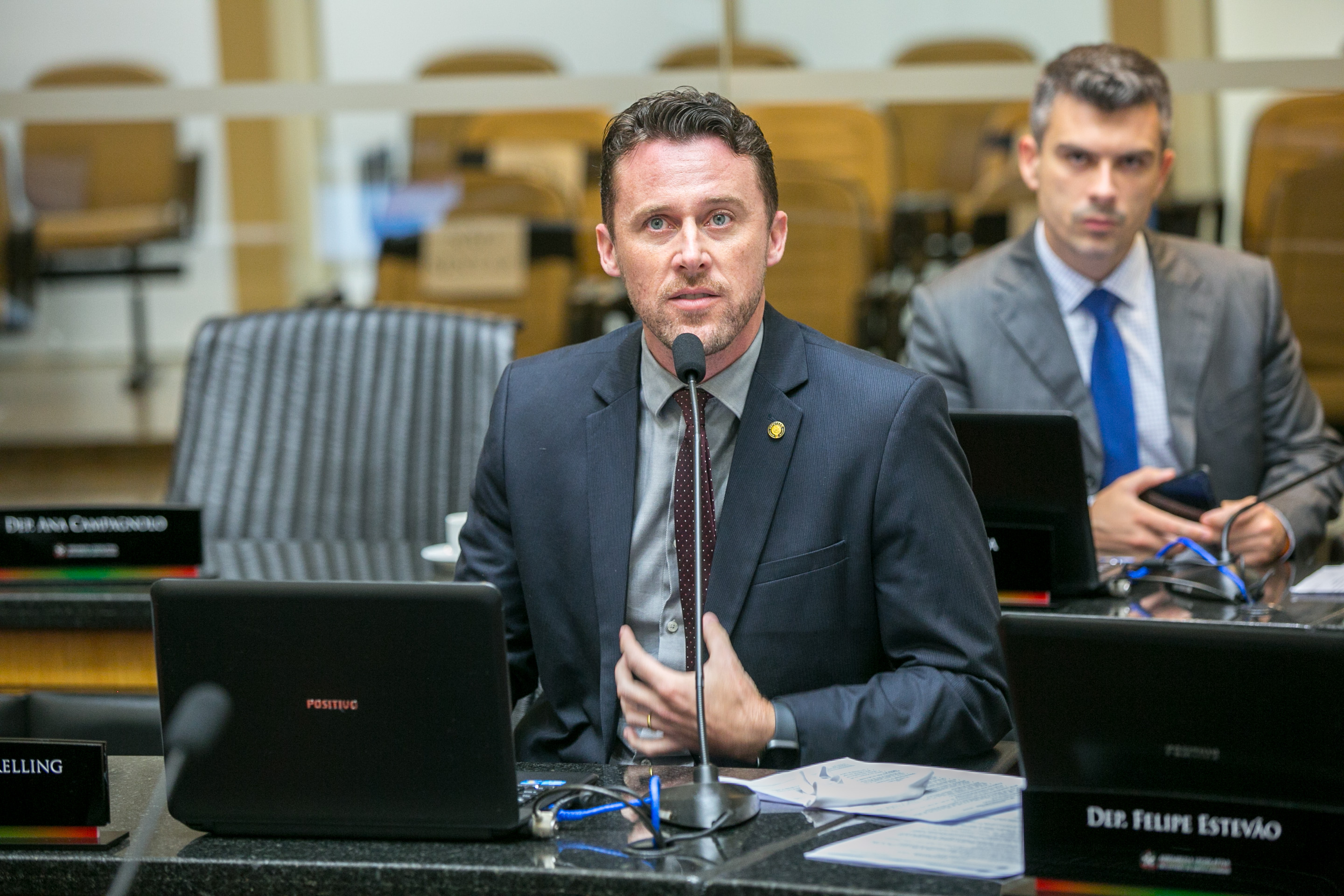 Deputado Fernando Krelling (MDB)