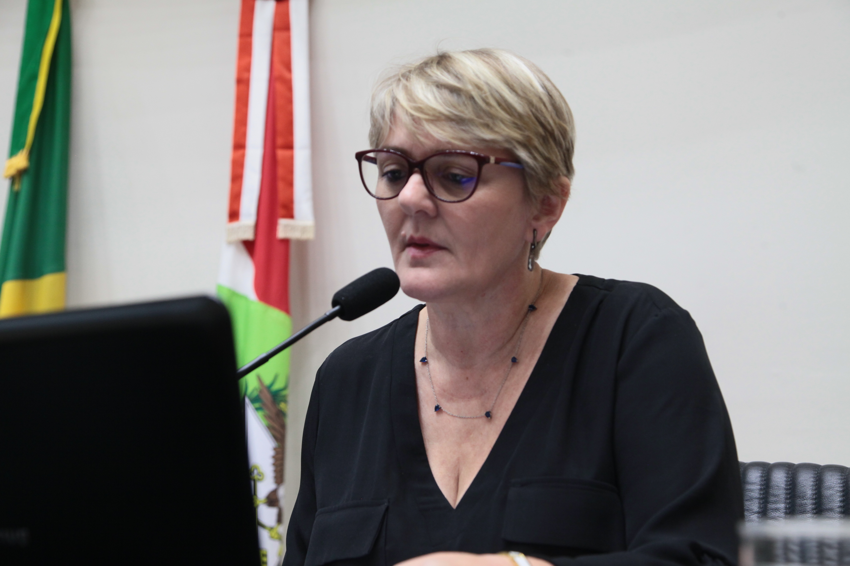 Comissão de Finanças e Tributação - Deputada Luciane Carminatti (PT)