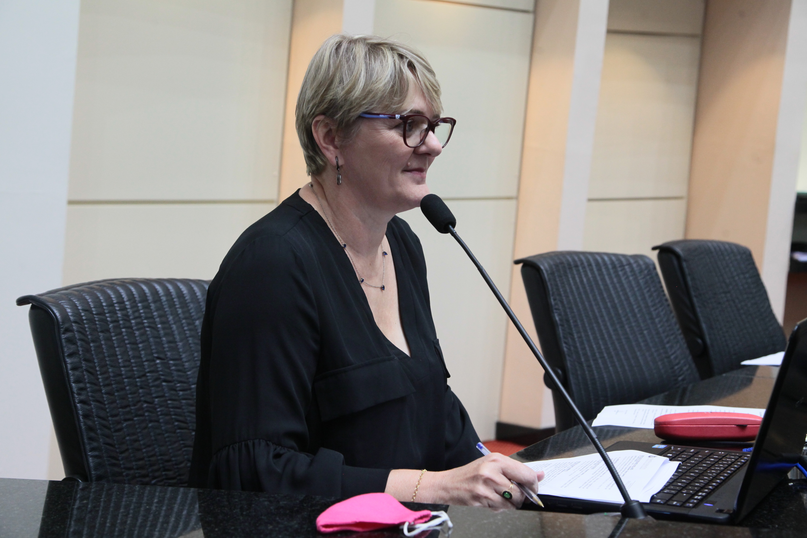 Comissão de Finanças e Tributação - Deputada Luciane Carminatti (PT)