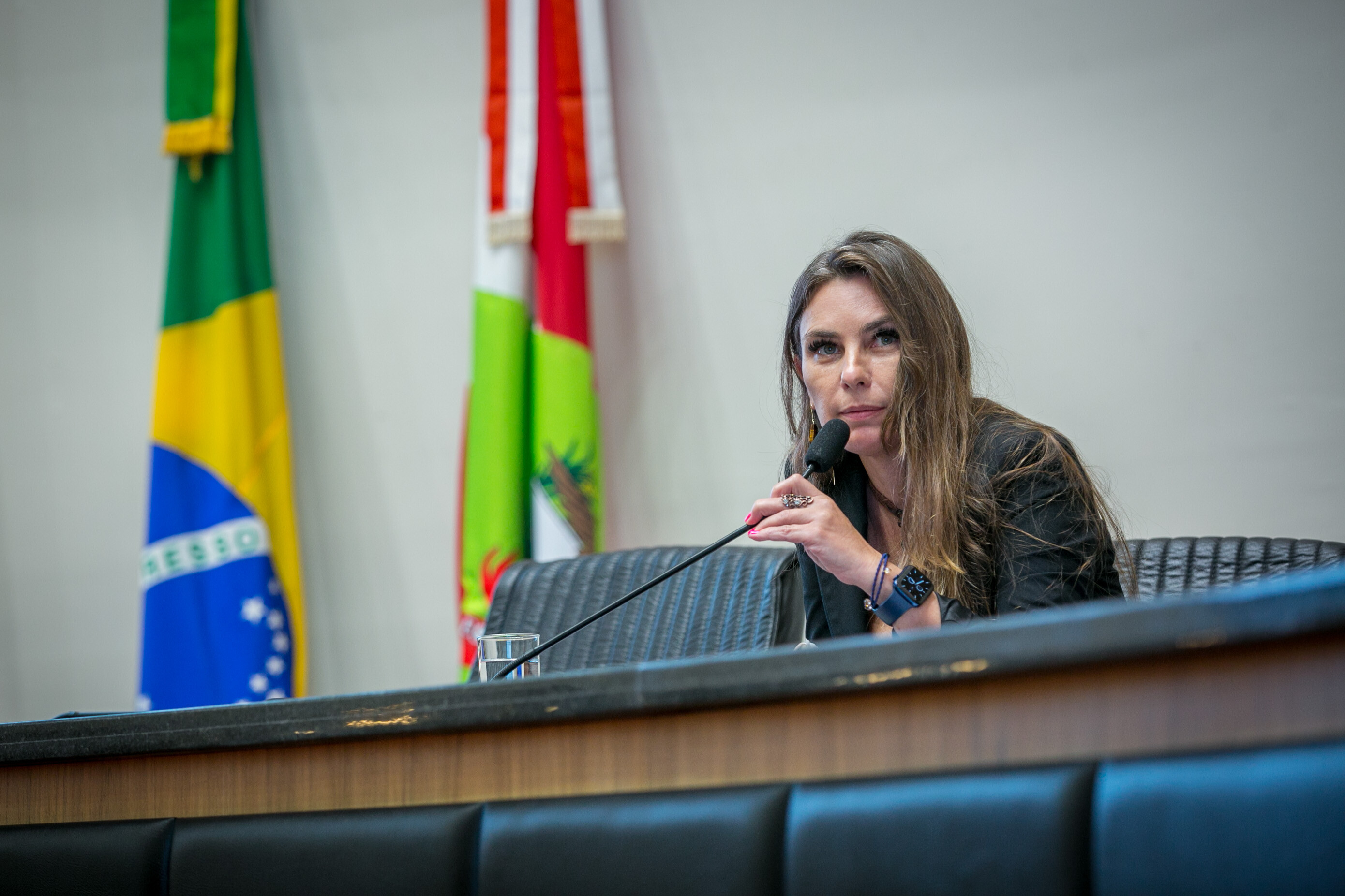 Deputada Paulinha