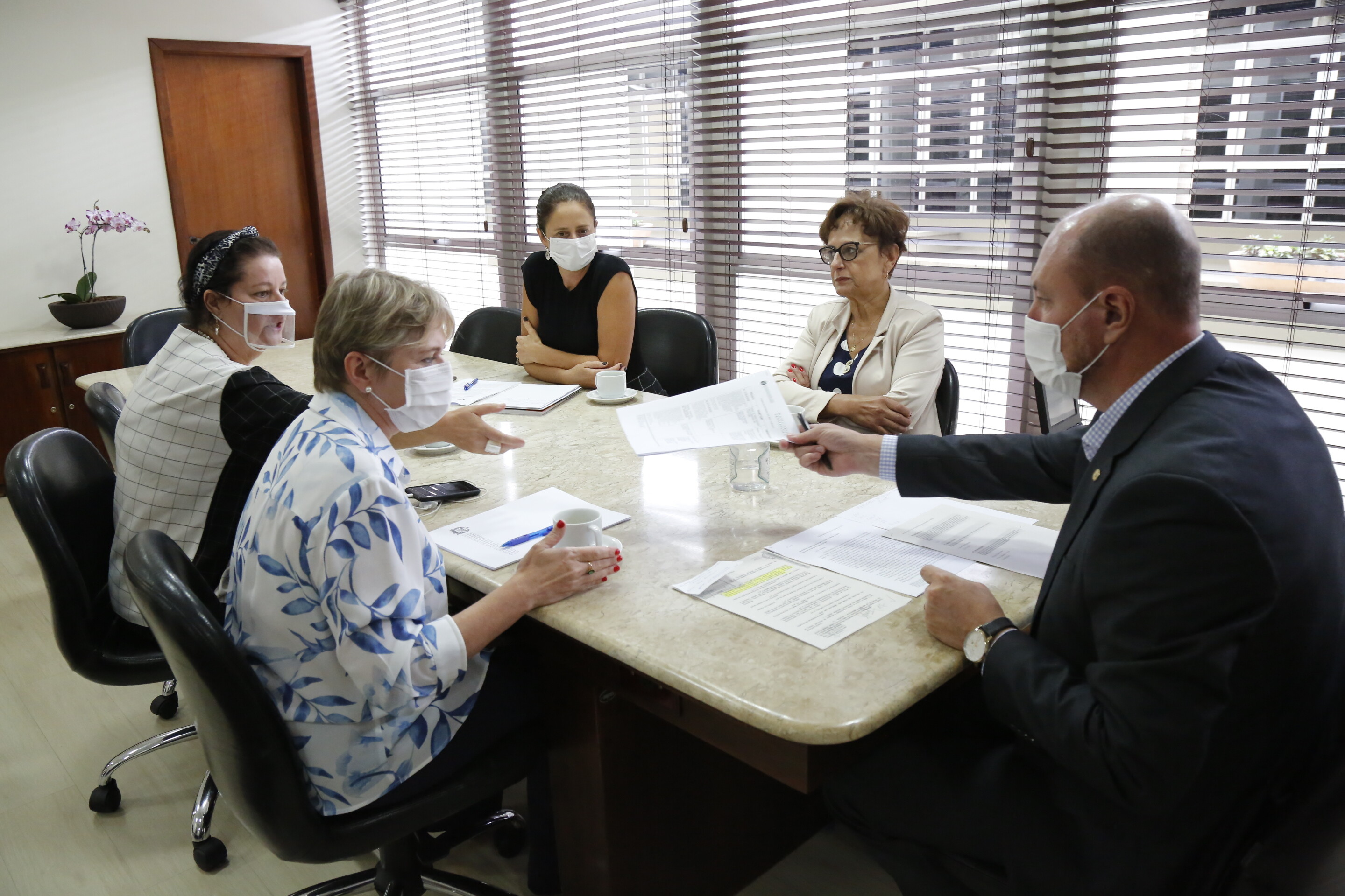 Bancada Feminina quer aprovação do Observatório e da Procuradoria da Mulher