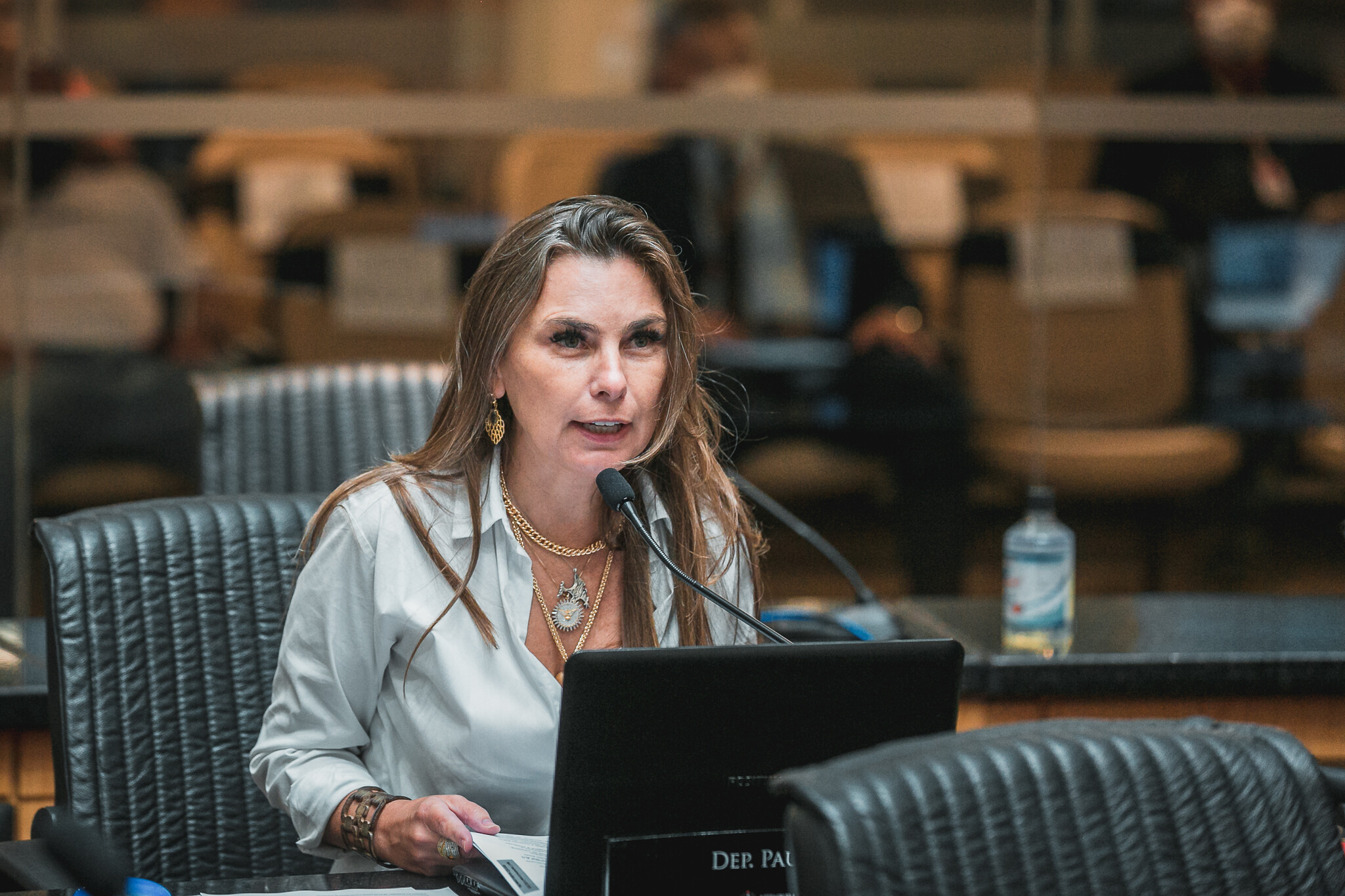 Deputada Paulinha