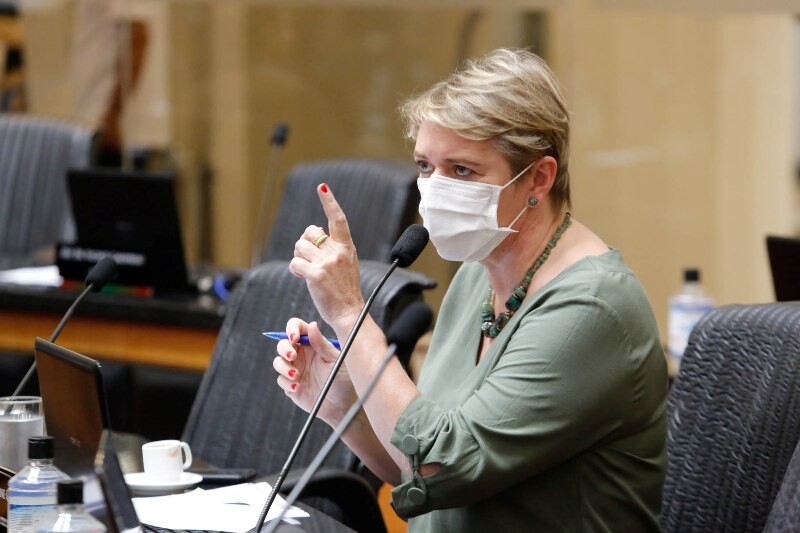 Deputada Luciane Carminatti