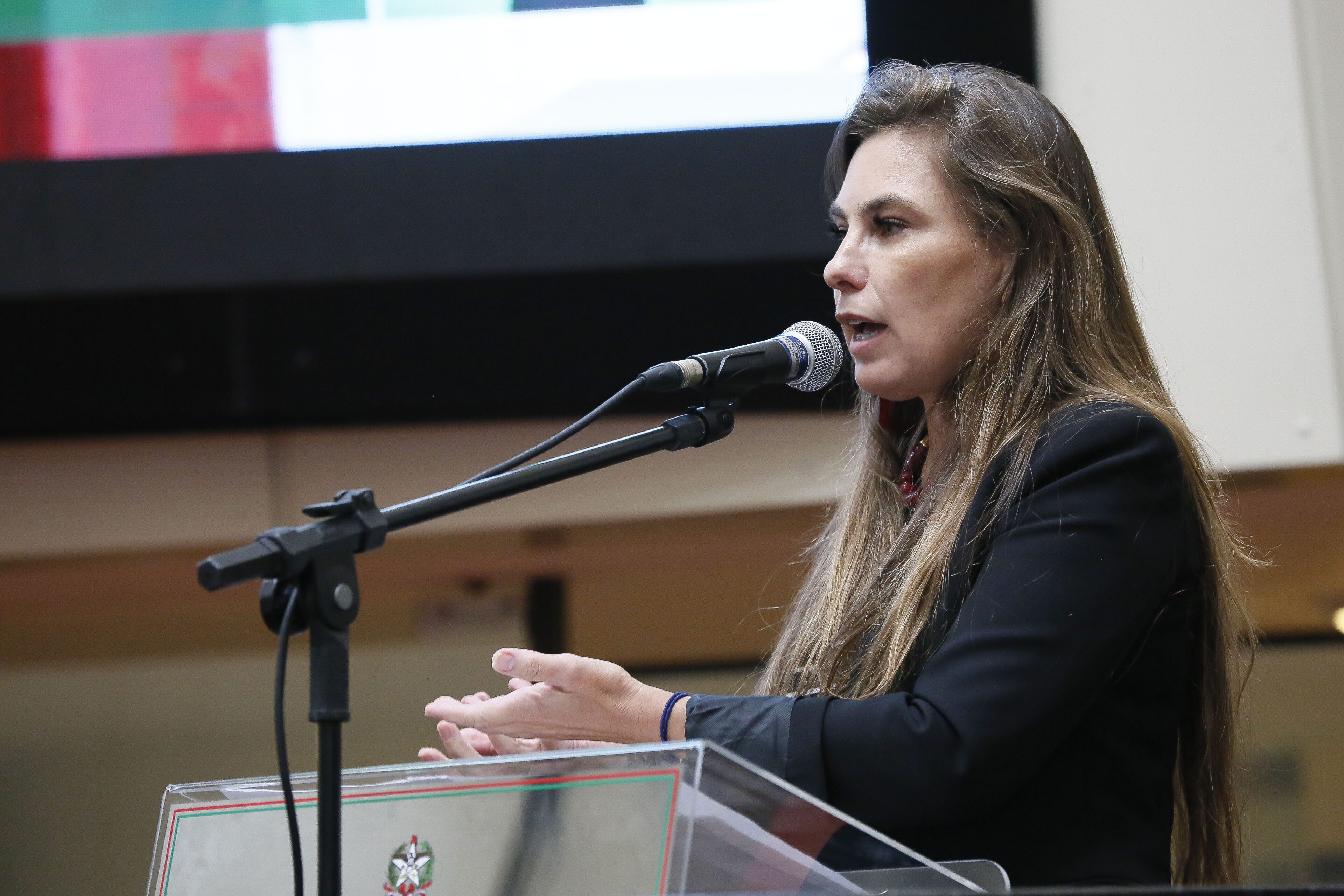 Deputada Paulinha