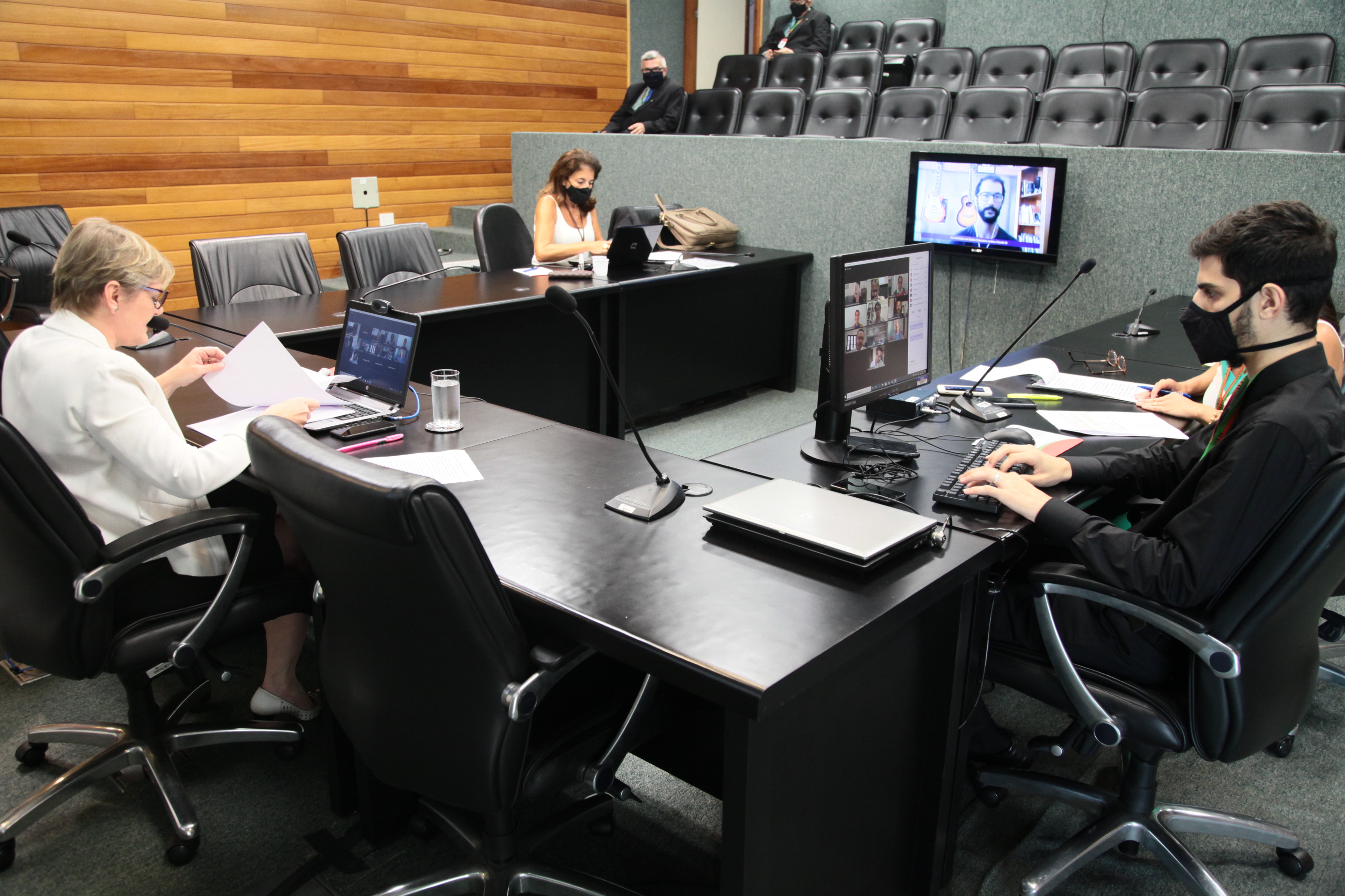 Audiência Pública da Comissão de Educação, Cultura e Desporto