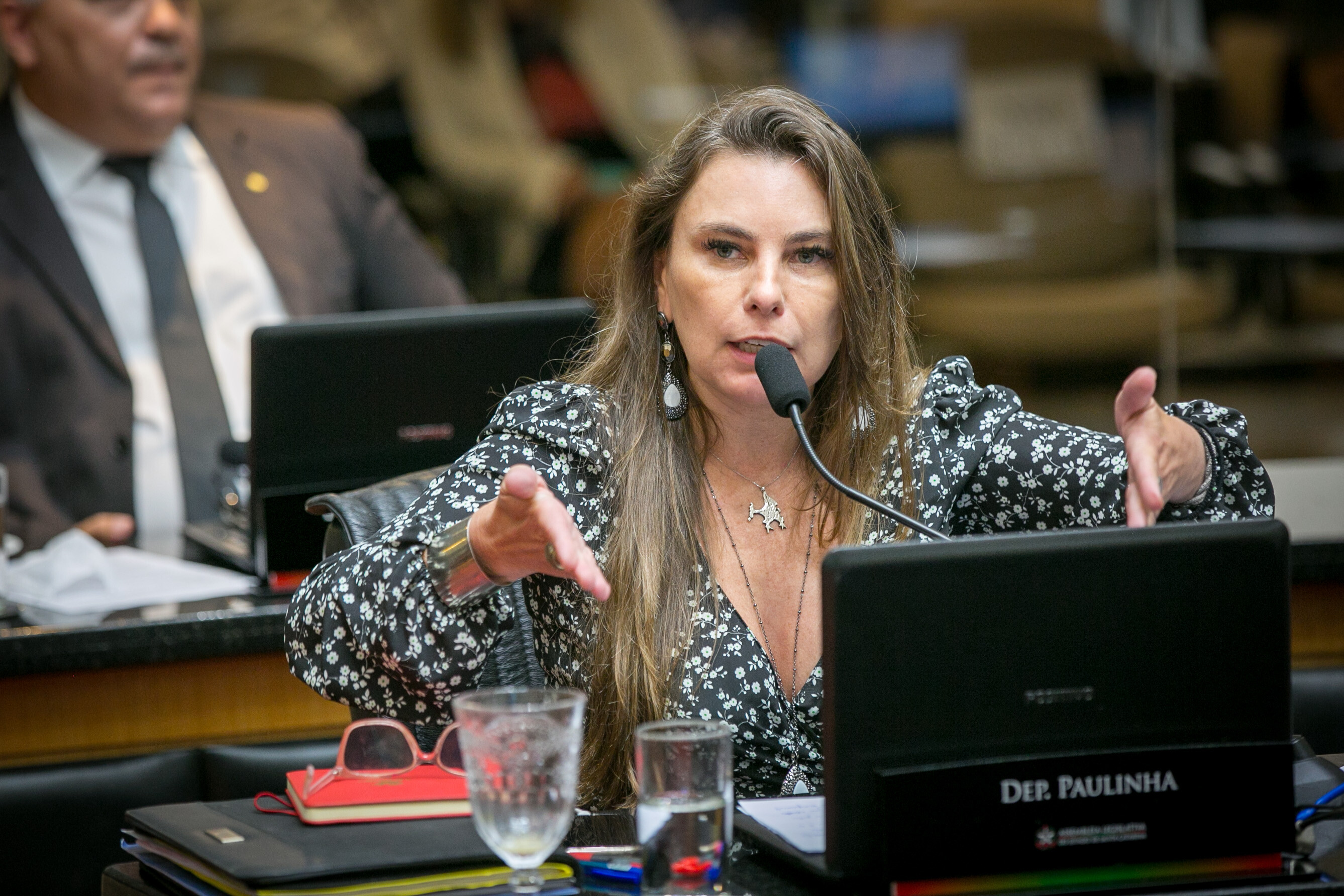 Deputada Paulinha