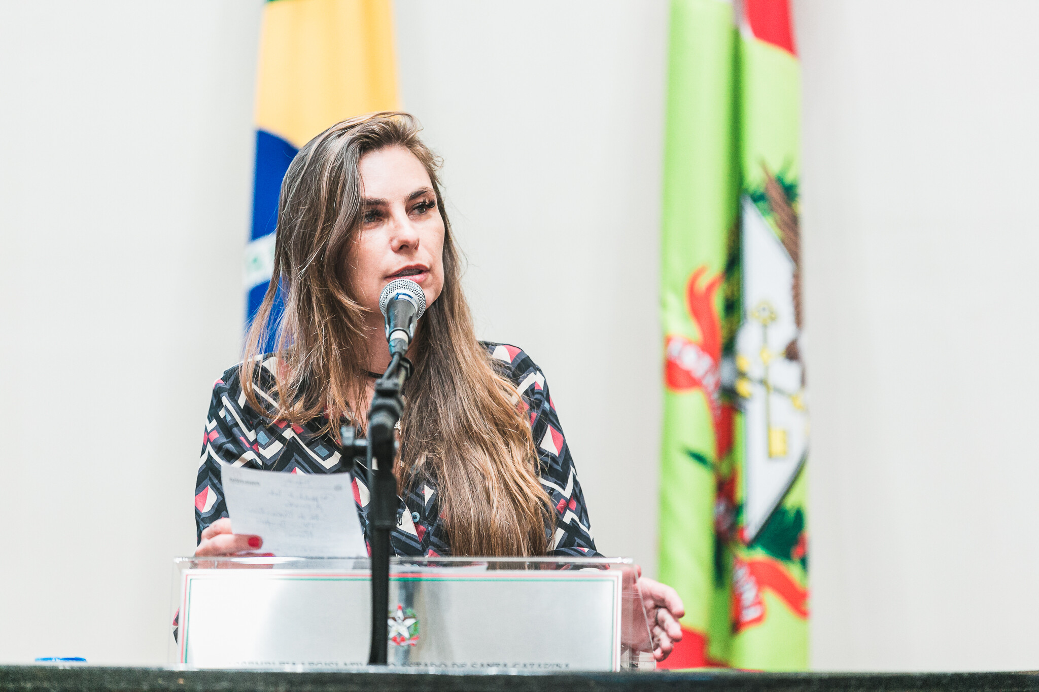 Deputada Paulinha