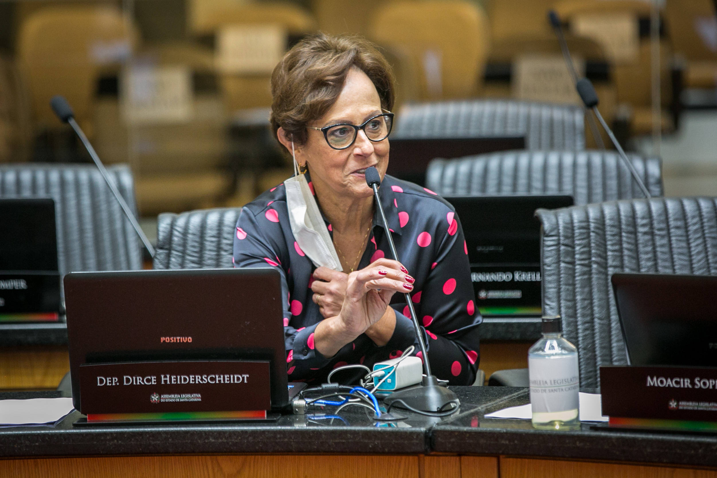 Deputada Dirce Heiderscheidt (MDB)