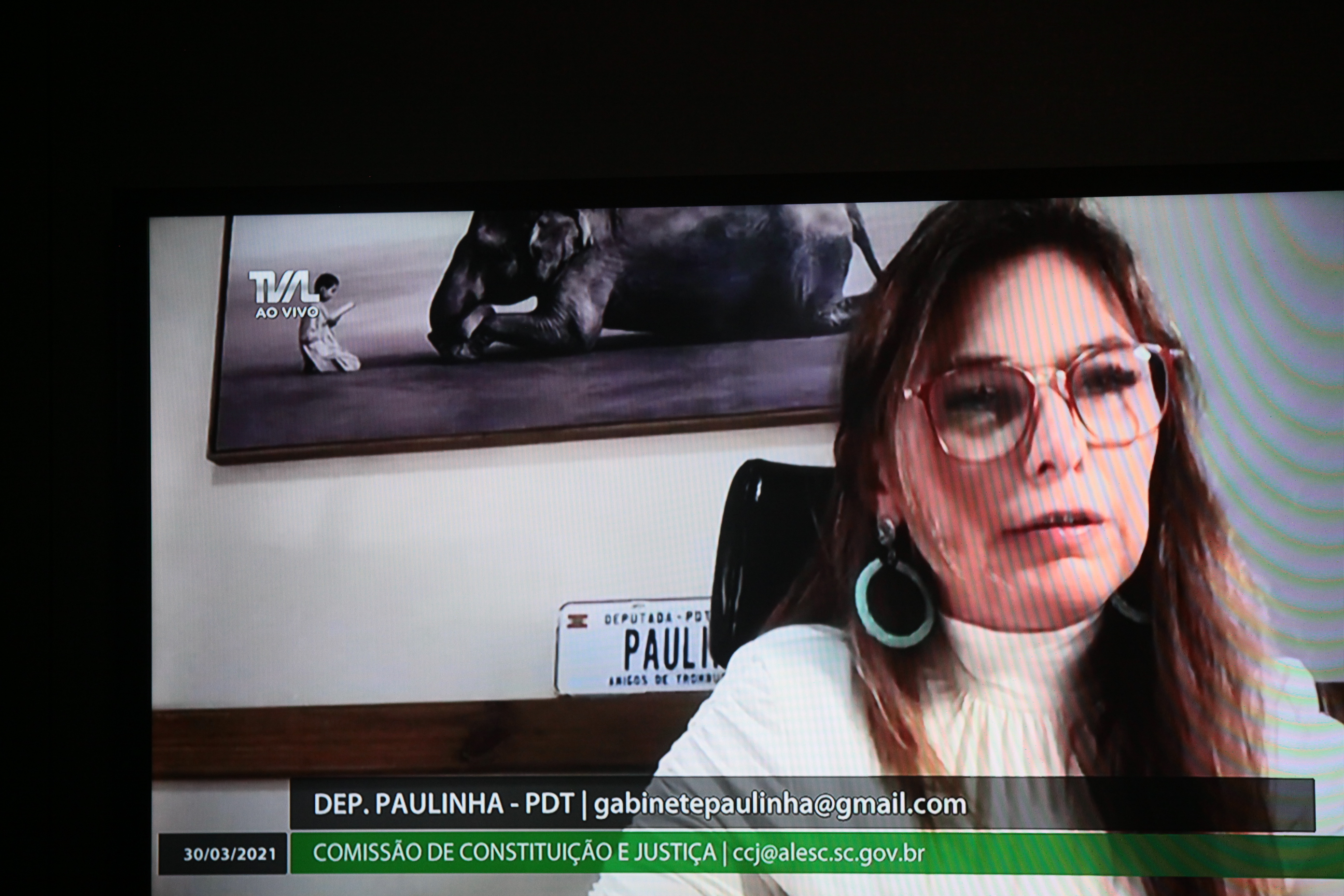 Comissão de Constituição e Justiça - Deputada Ana Paula da Silva (PDT)