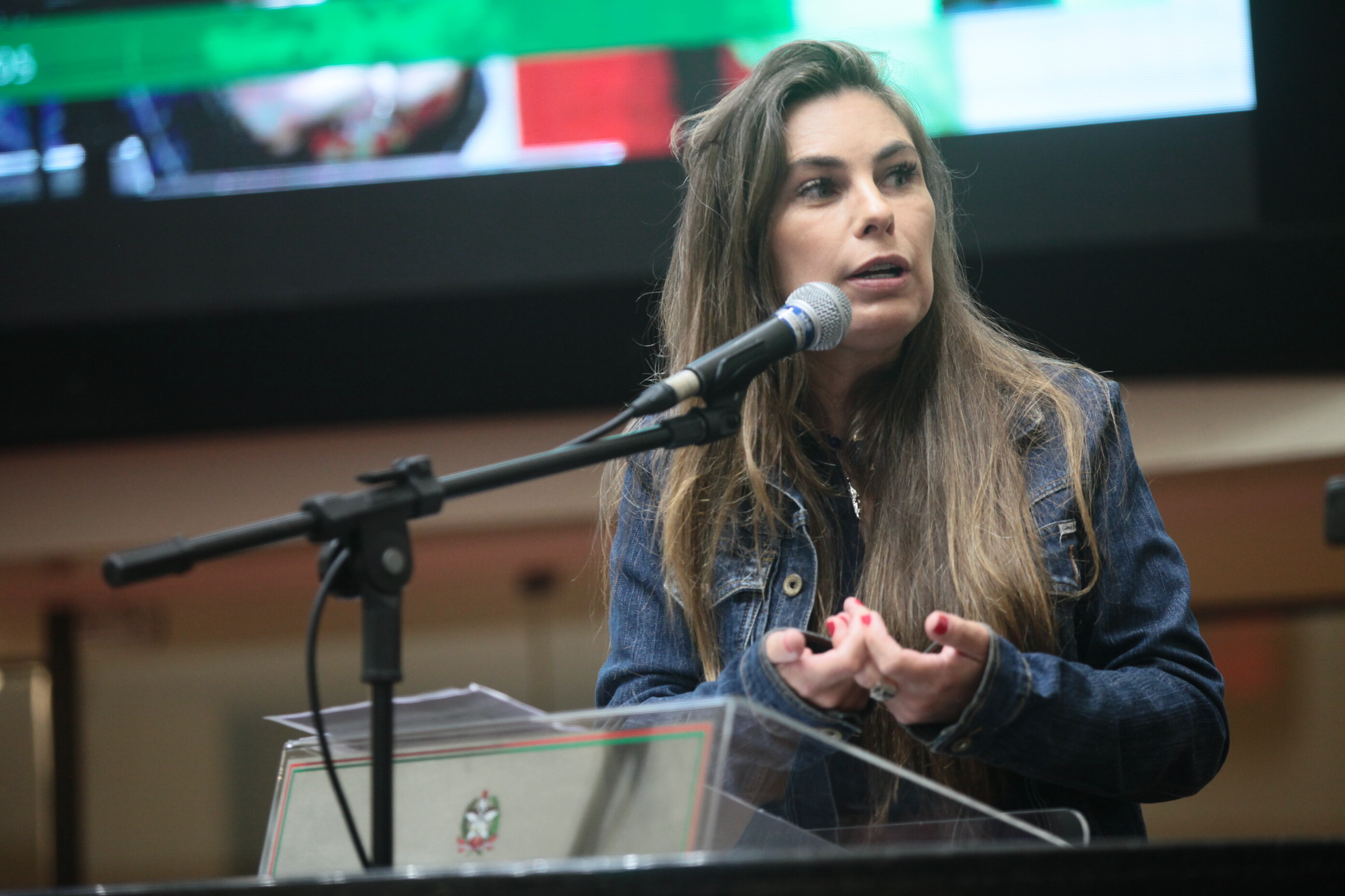 Deputada Paulinha