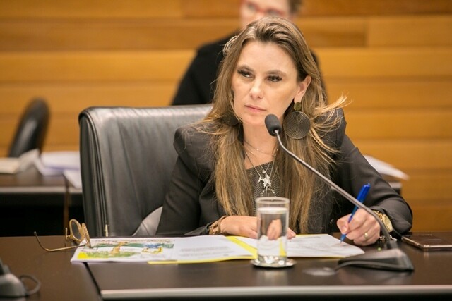 Deputada Paulinha.