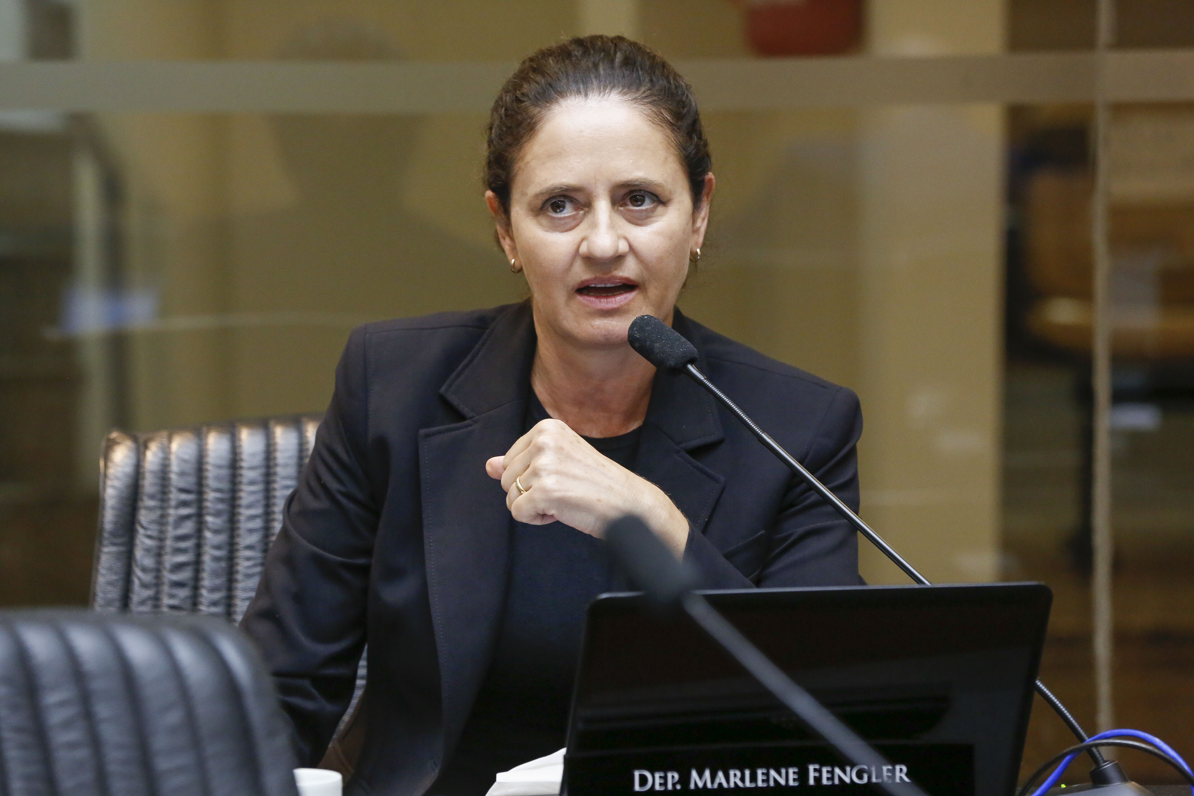Deputada Marlene Fengler