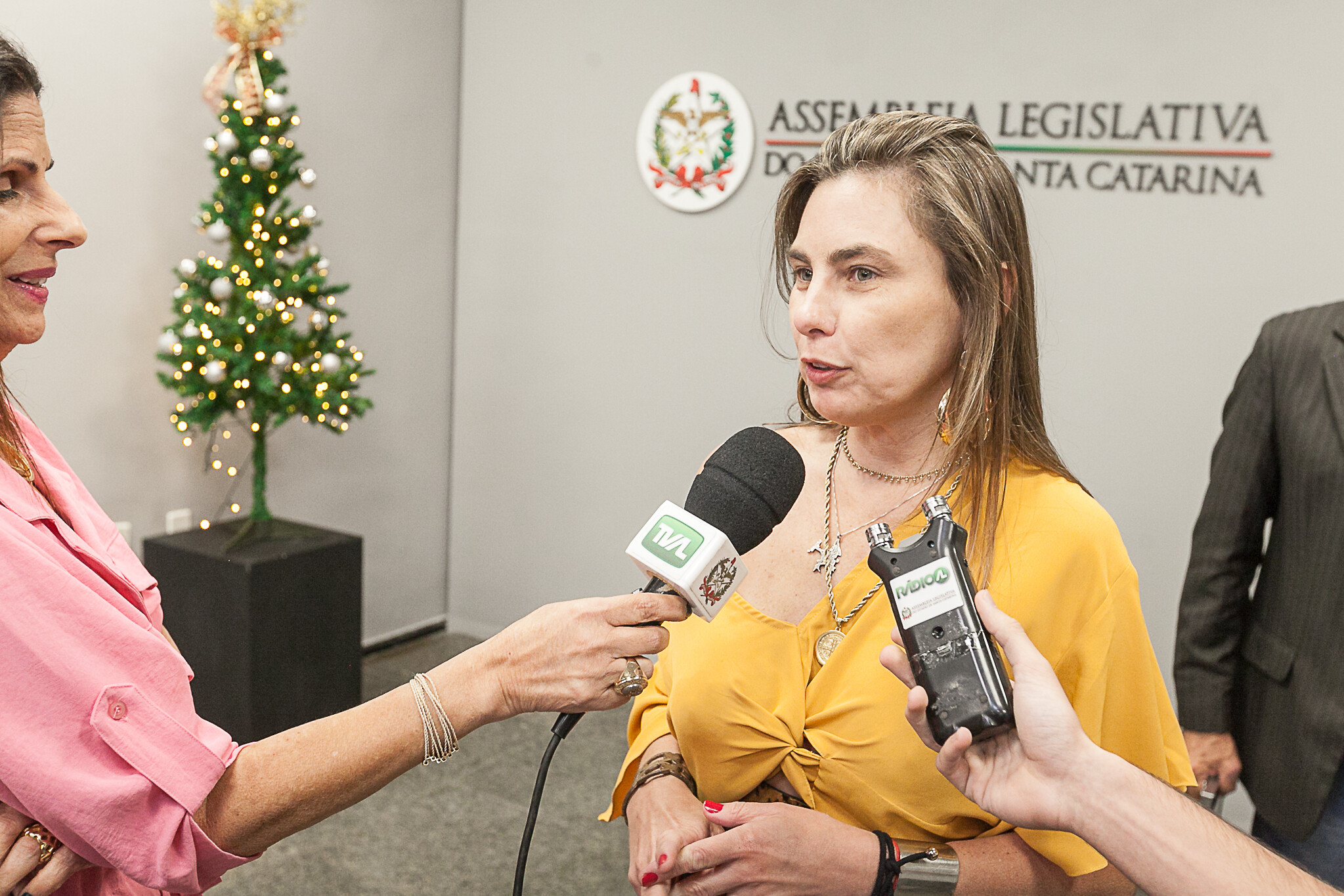 Deputada Paulinha