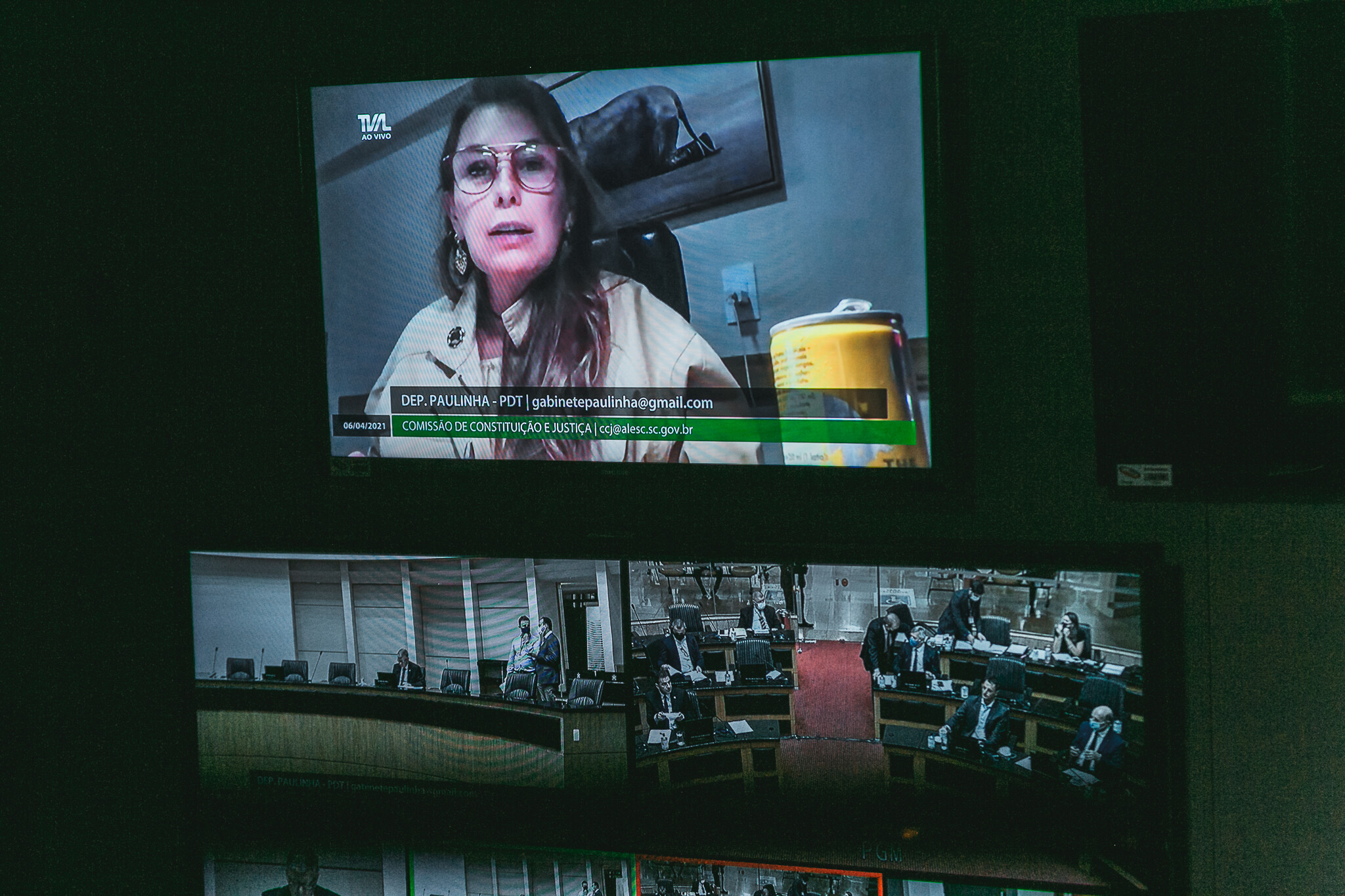 Deputada Paulinha na reunião da CCJ