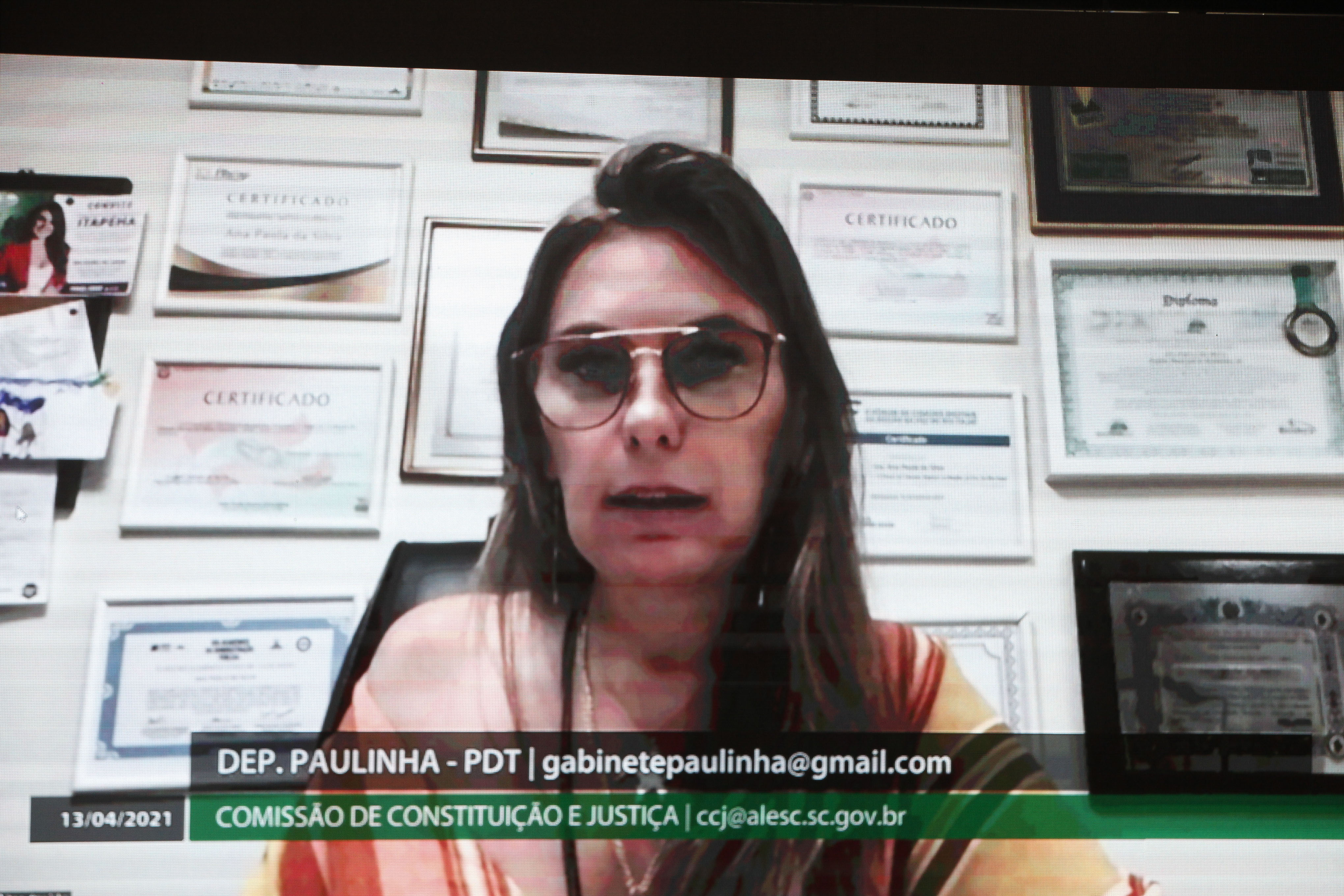 Deputada Ana Paula da Silva (PDT)