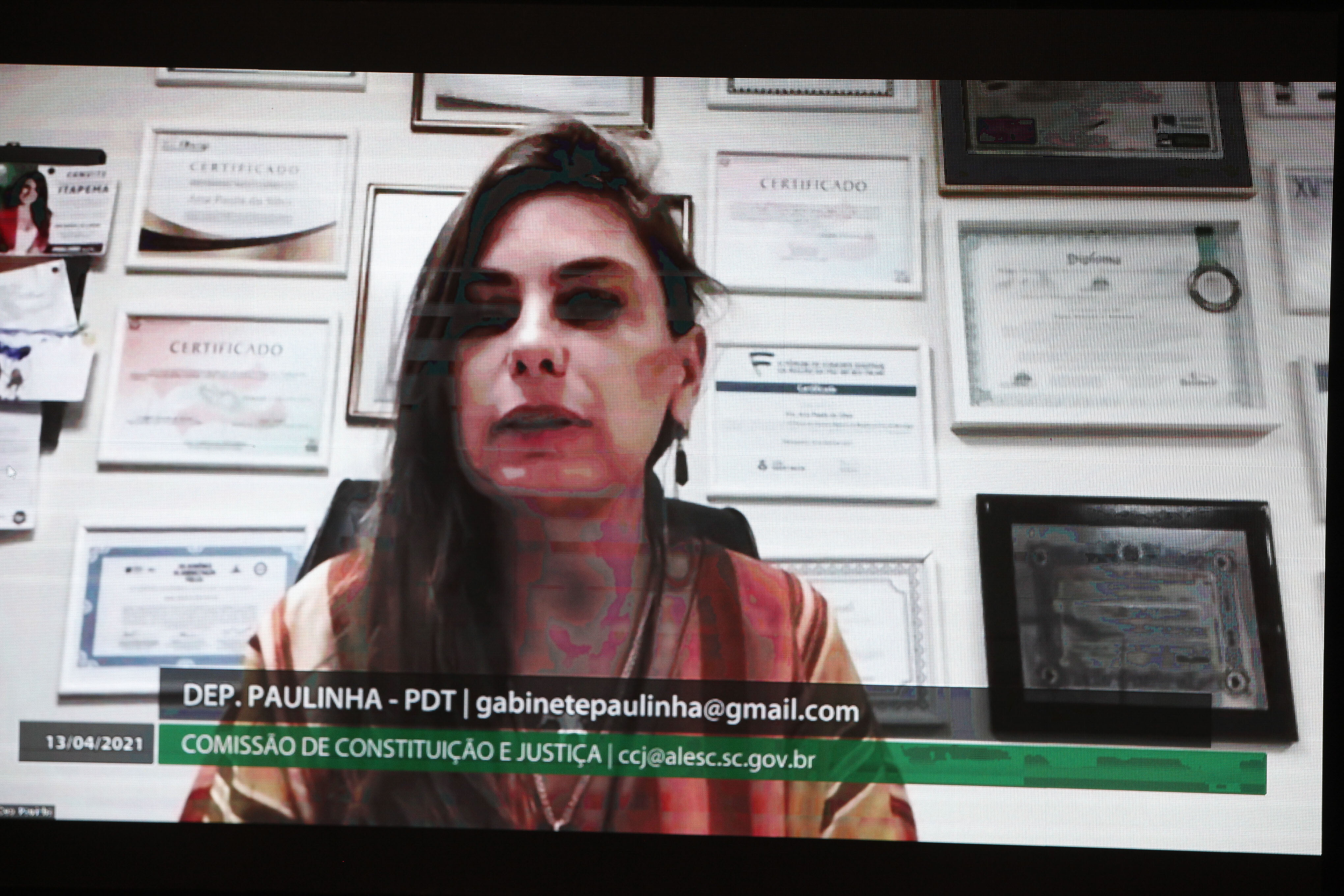 Deputada Paulinha