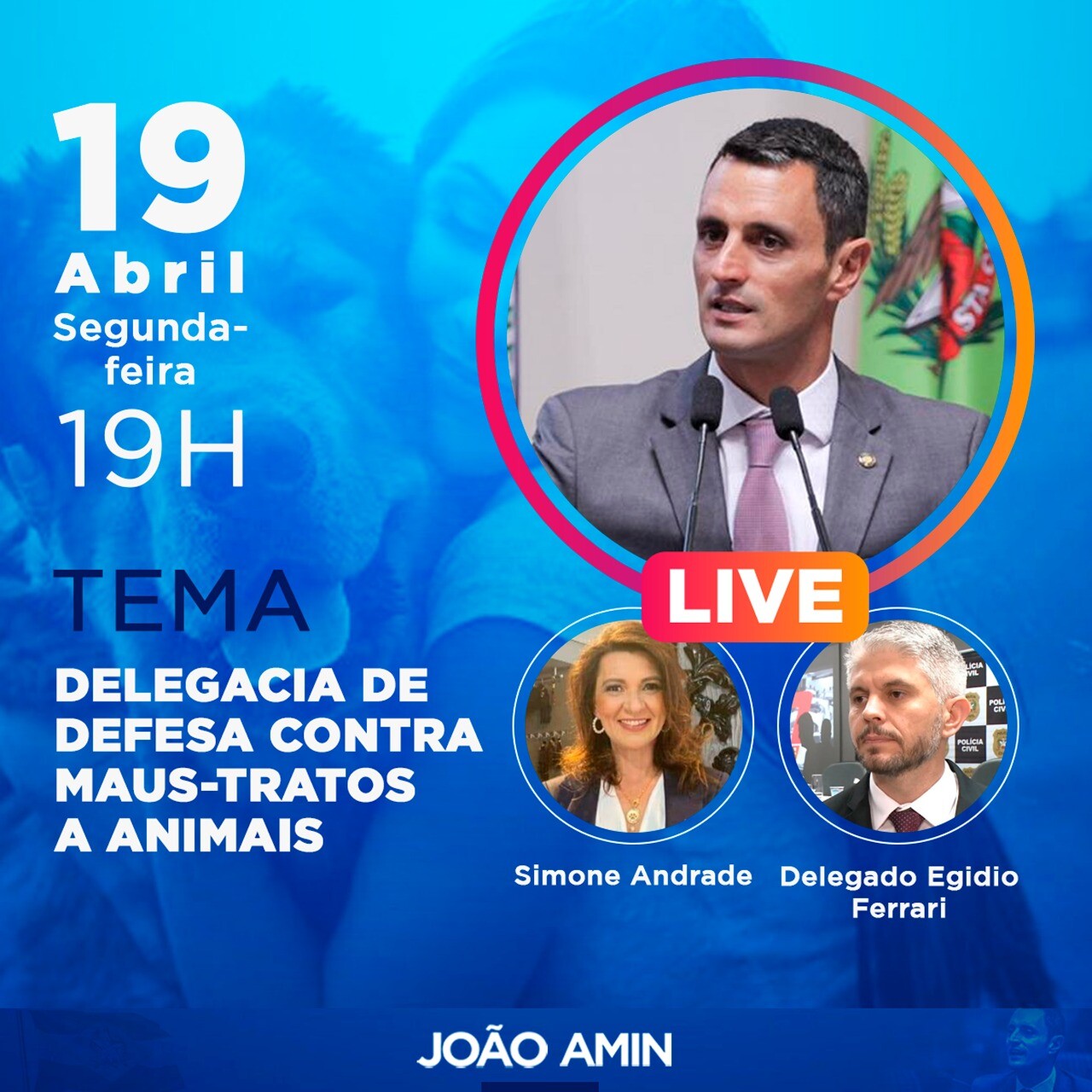 Live debate criação da Delegacia de Defesa contra maus-tratos a animais em SC