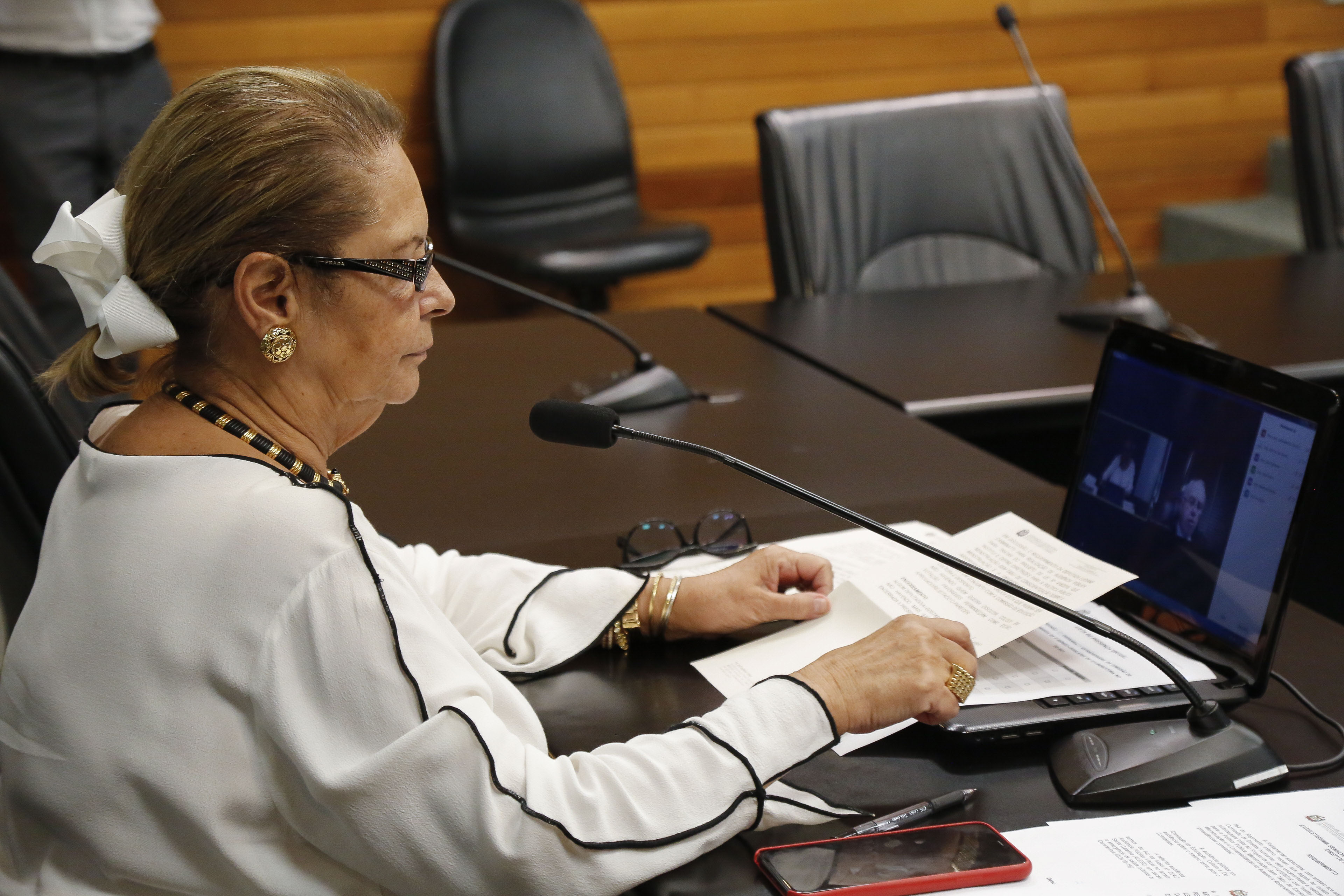 Deputada Ada Faraco de Luca (MDB)