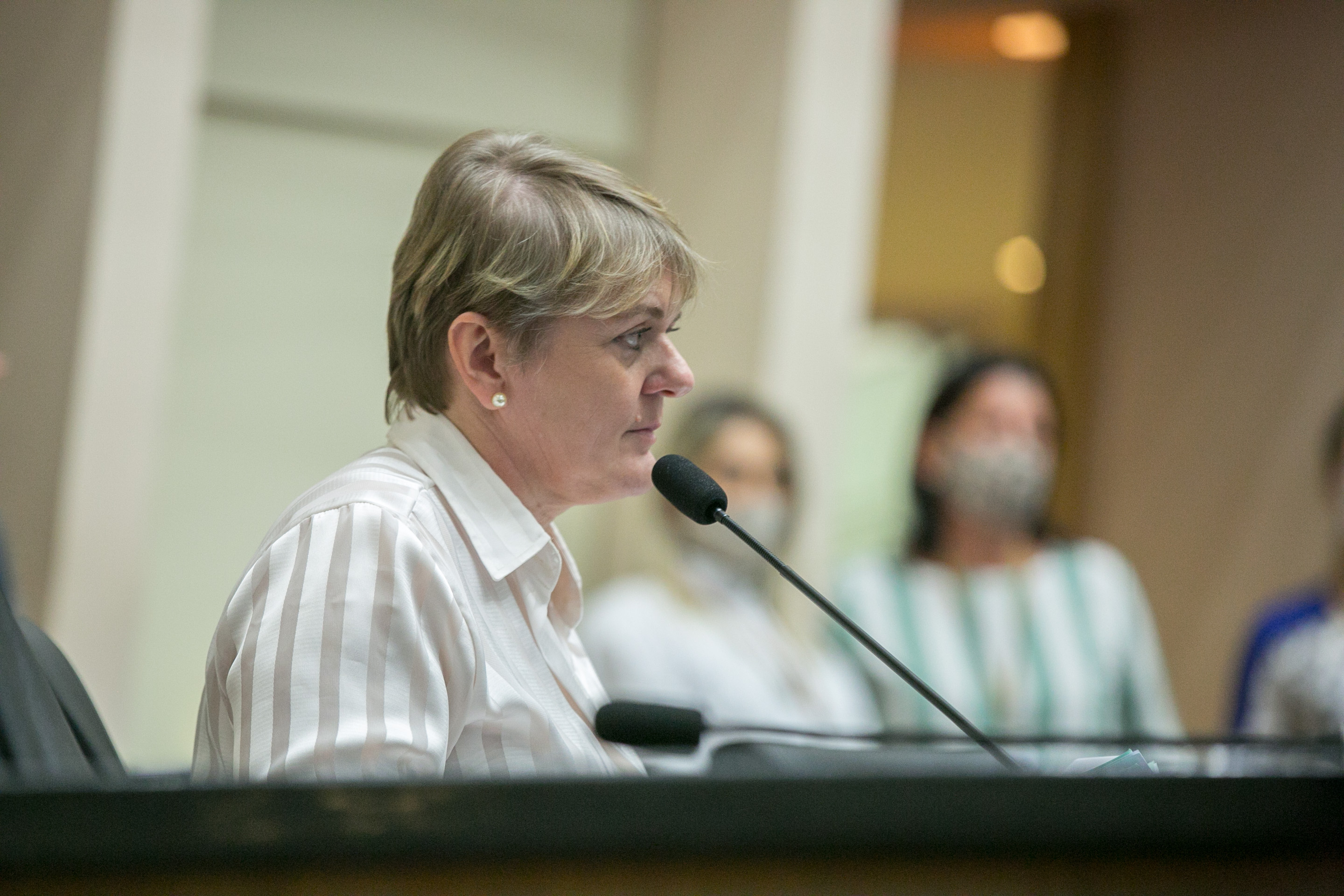Deputada Luciane Carminatti (PT)