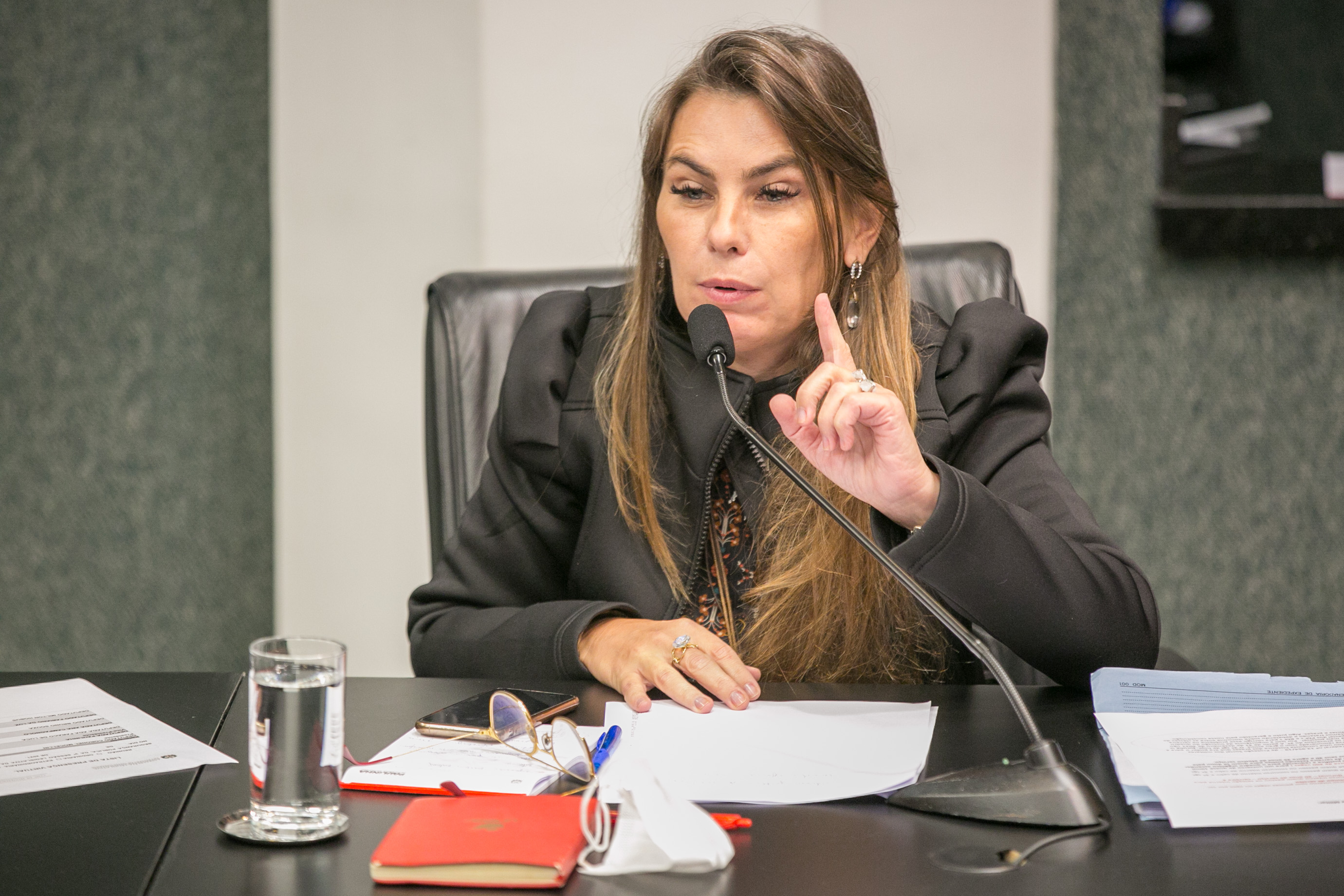 Deputada Paulinha (PDT)