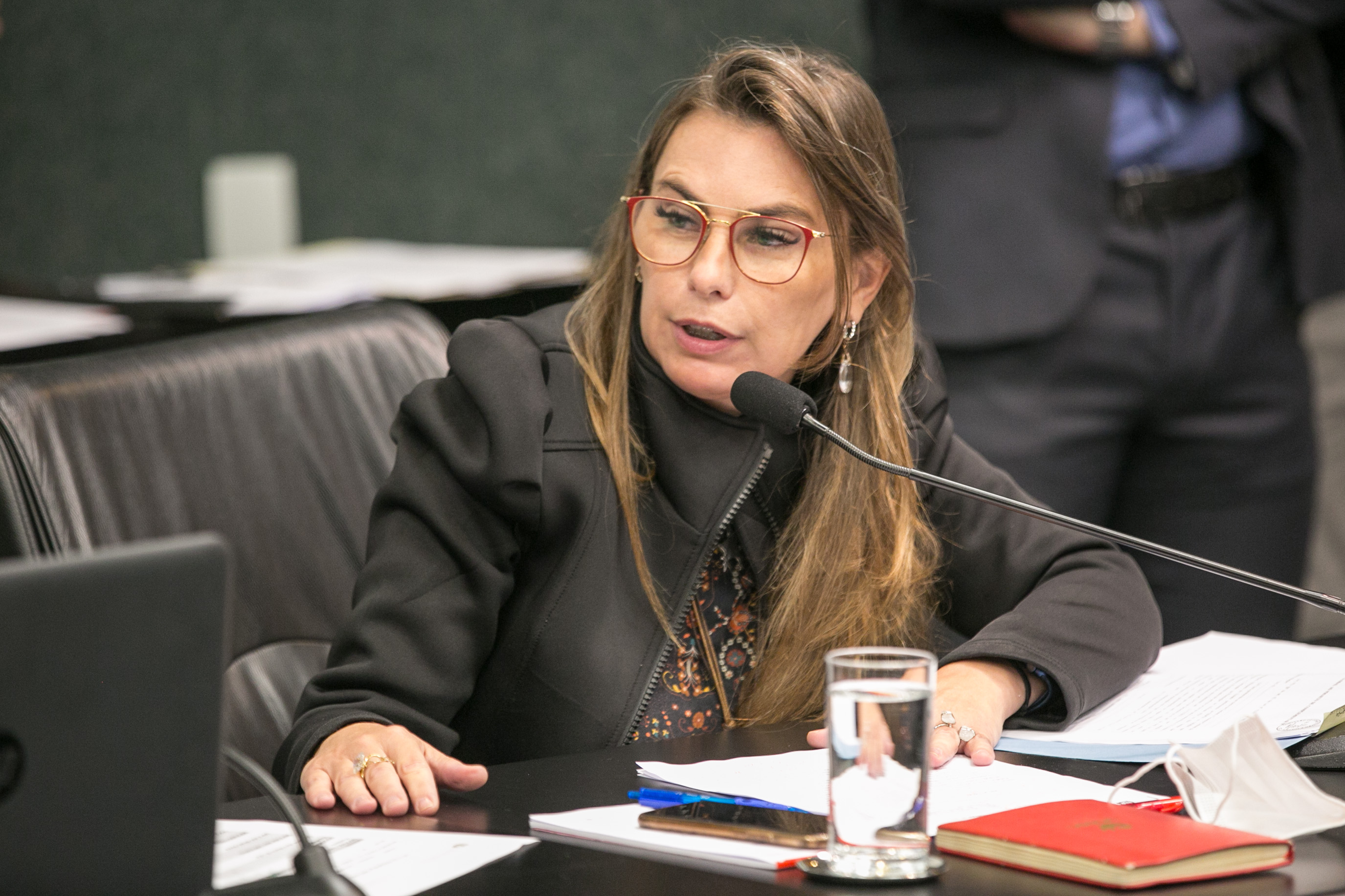 Deputada Paulinha (PDT)