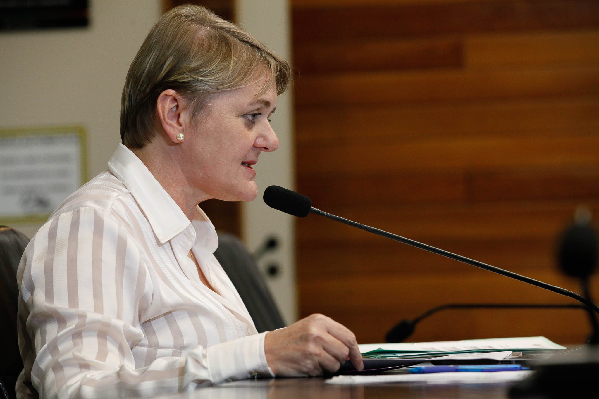 Deputada Luciane Carminatti (PT)