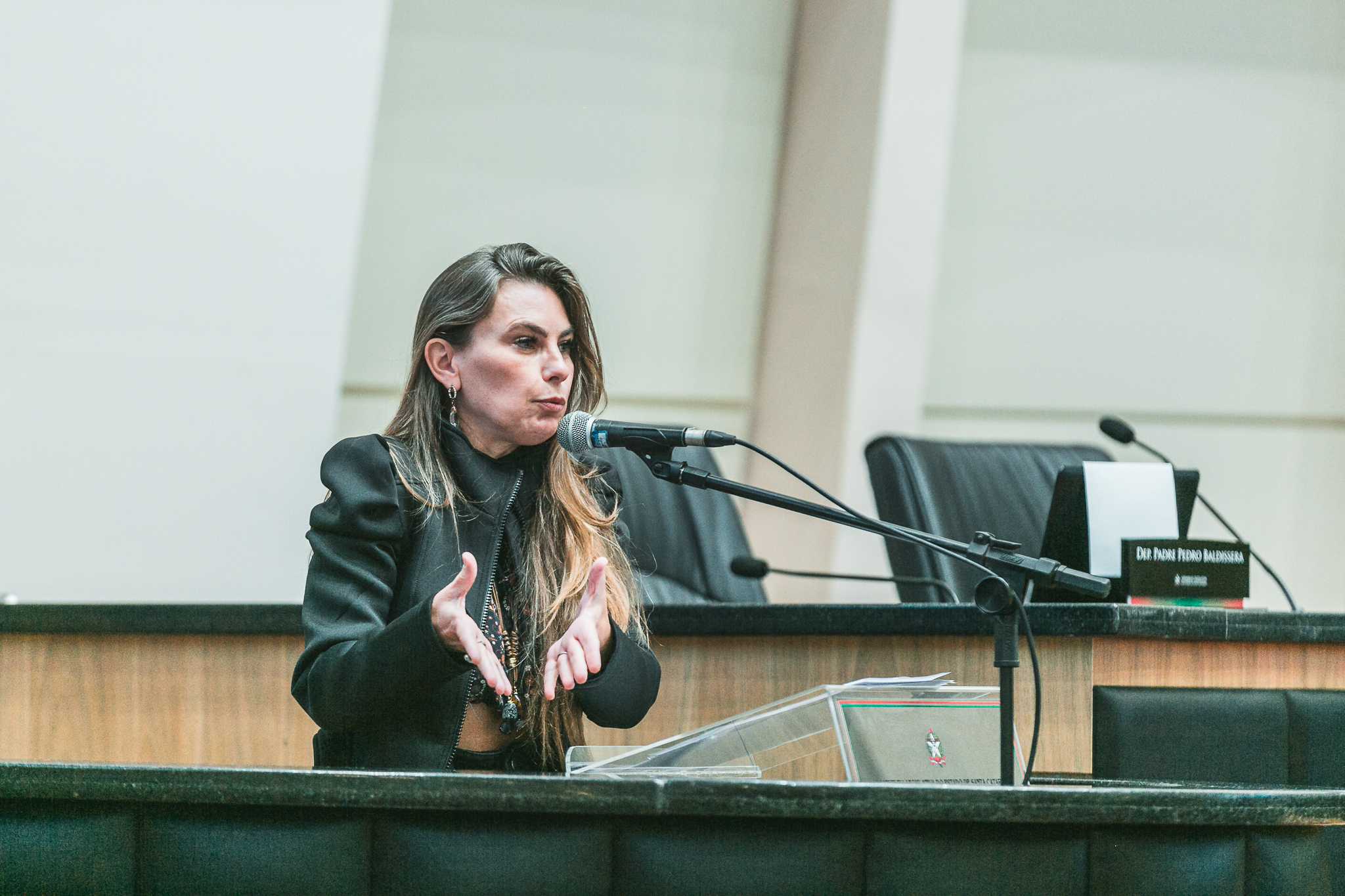 Deputada Ana Paula da Silva (PDT)