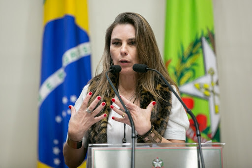 Deputada Paulinha