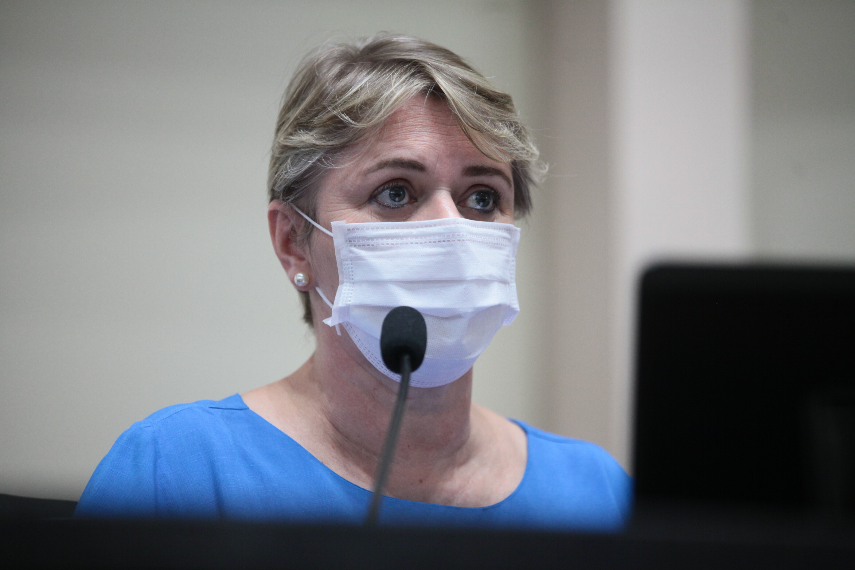 Deputada Luciane Carminatti