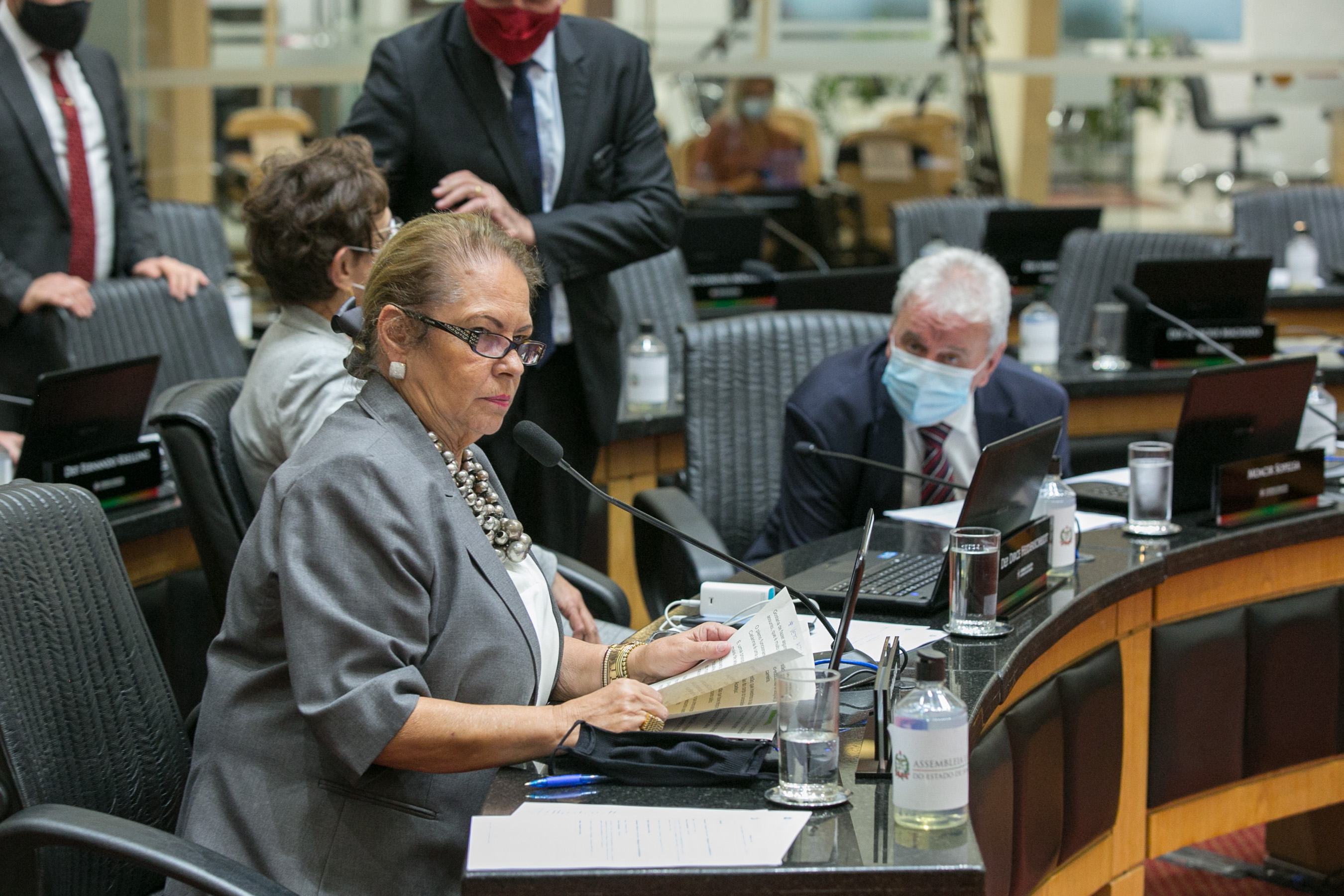 Deputada Ada De Luca (MDB)