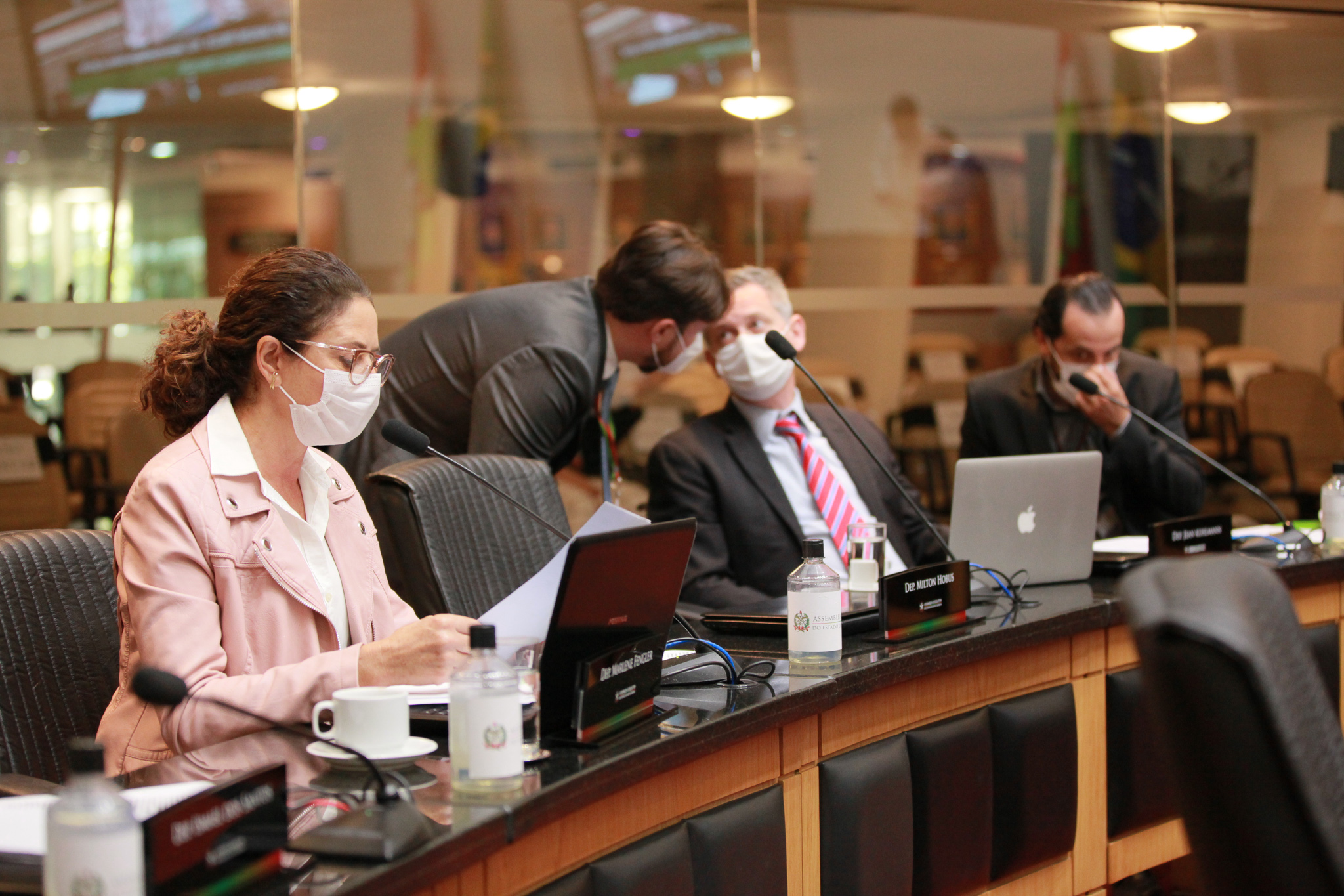 Deputada Marlene Fengler (PSD)