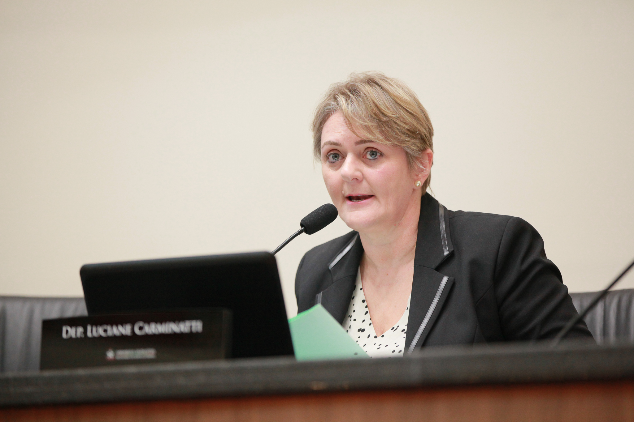 Deputada Luciane Carminatti (PT)