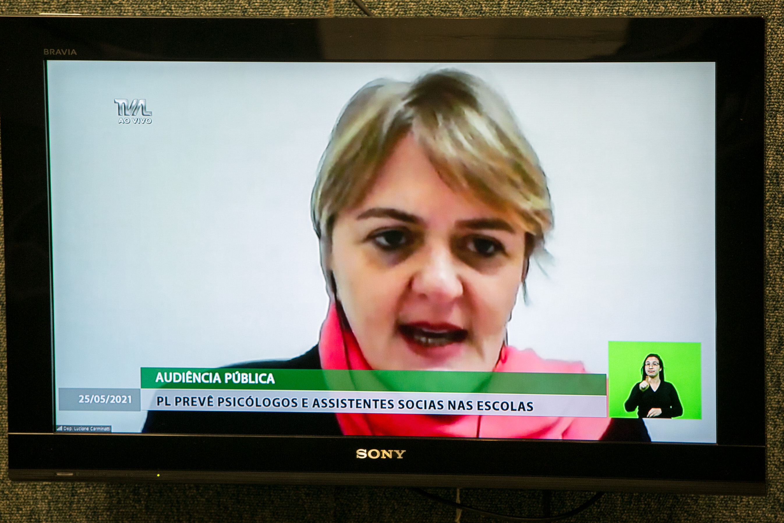 Deputada Luciane Carminatti (PT)