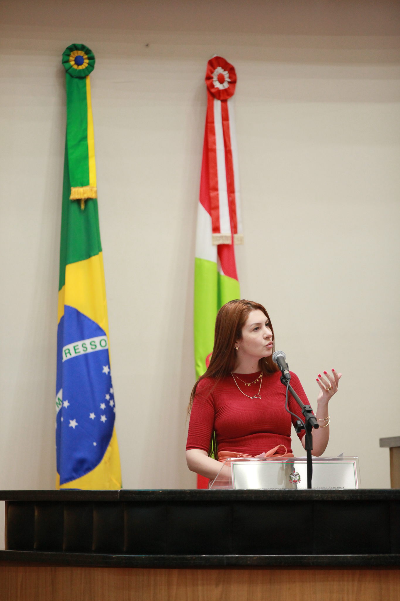 Deputada Ana Caroline Campagnolo (PSL)