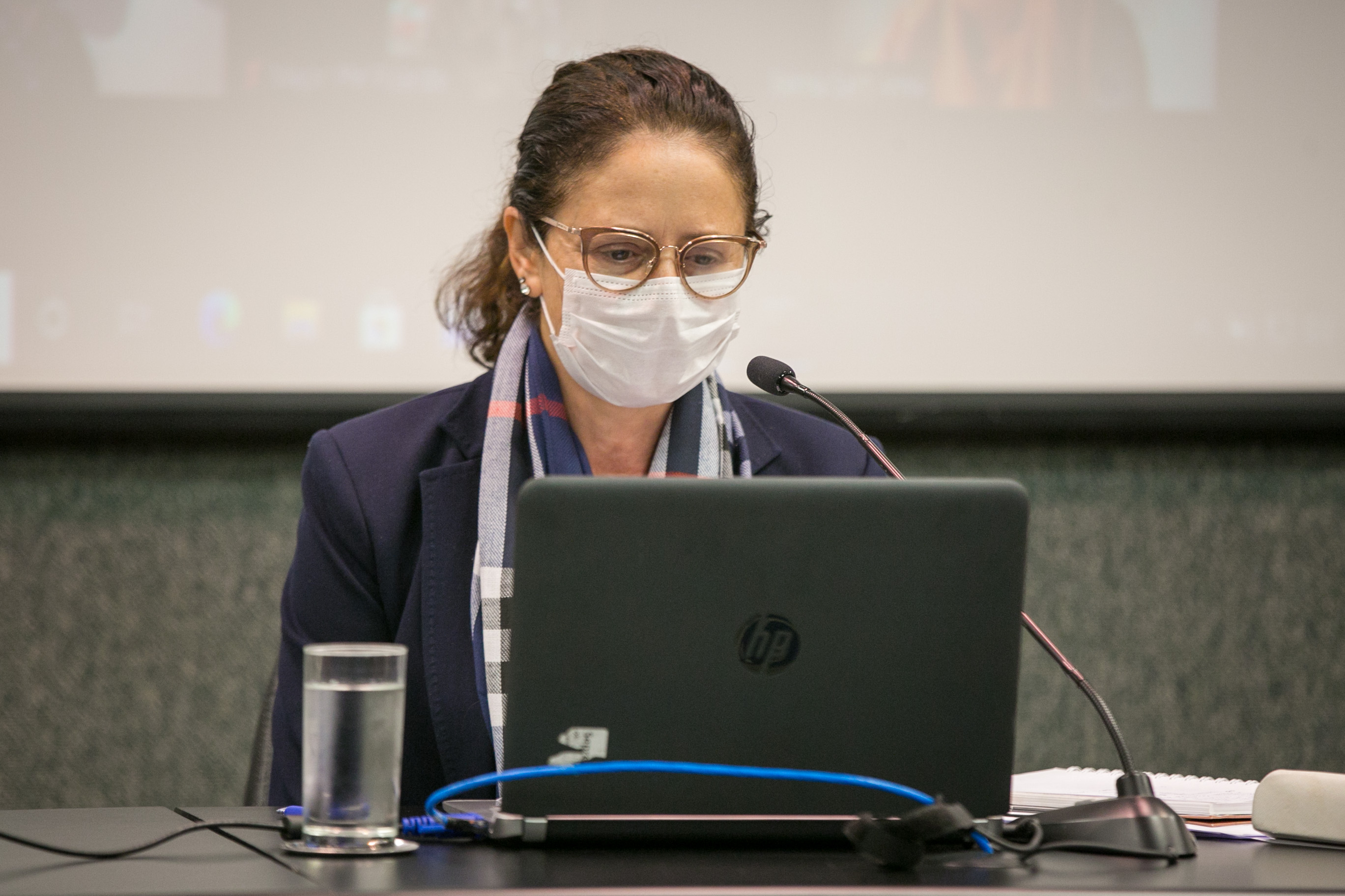 Deputada Marlene Fengler (PSD)