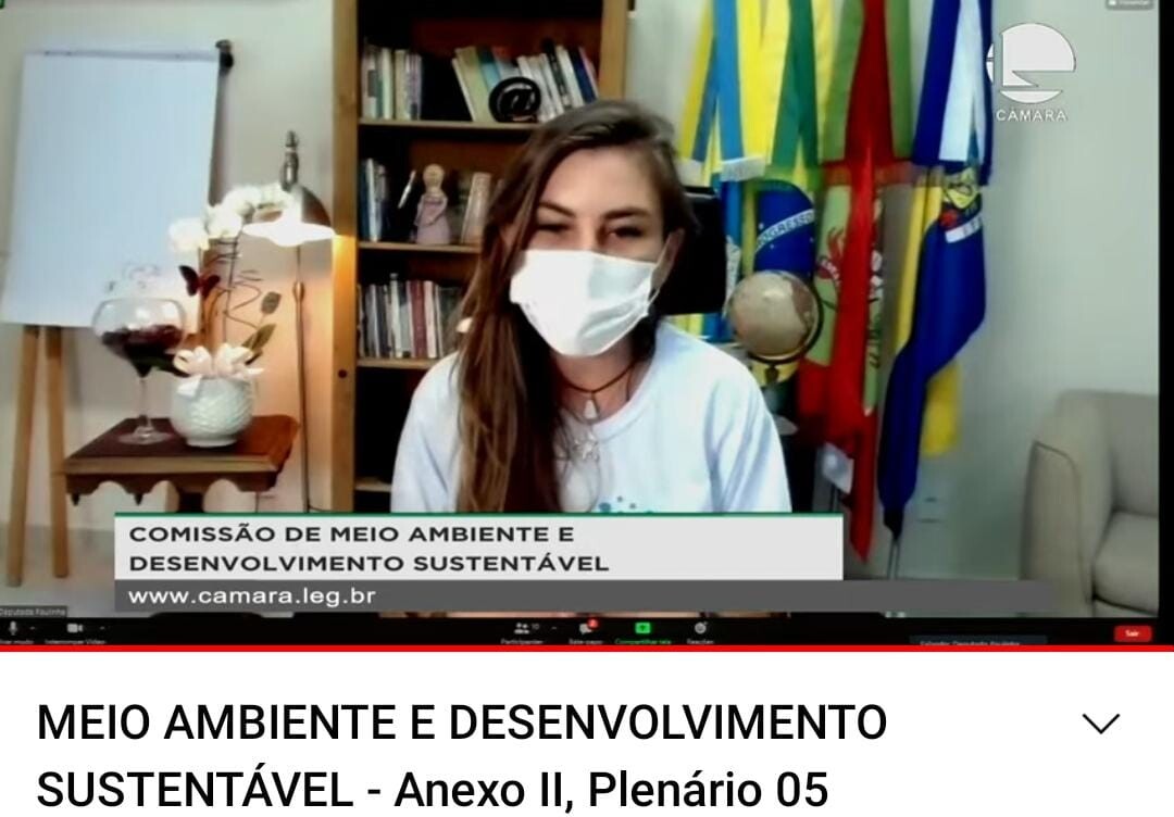 Deputada Paulinha