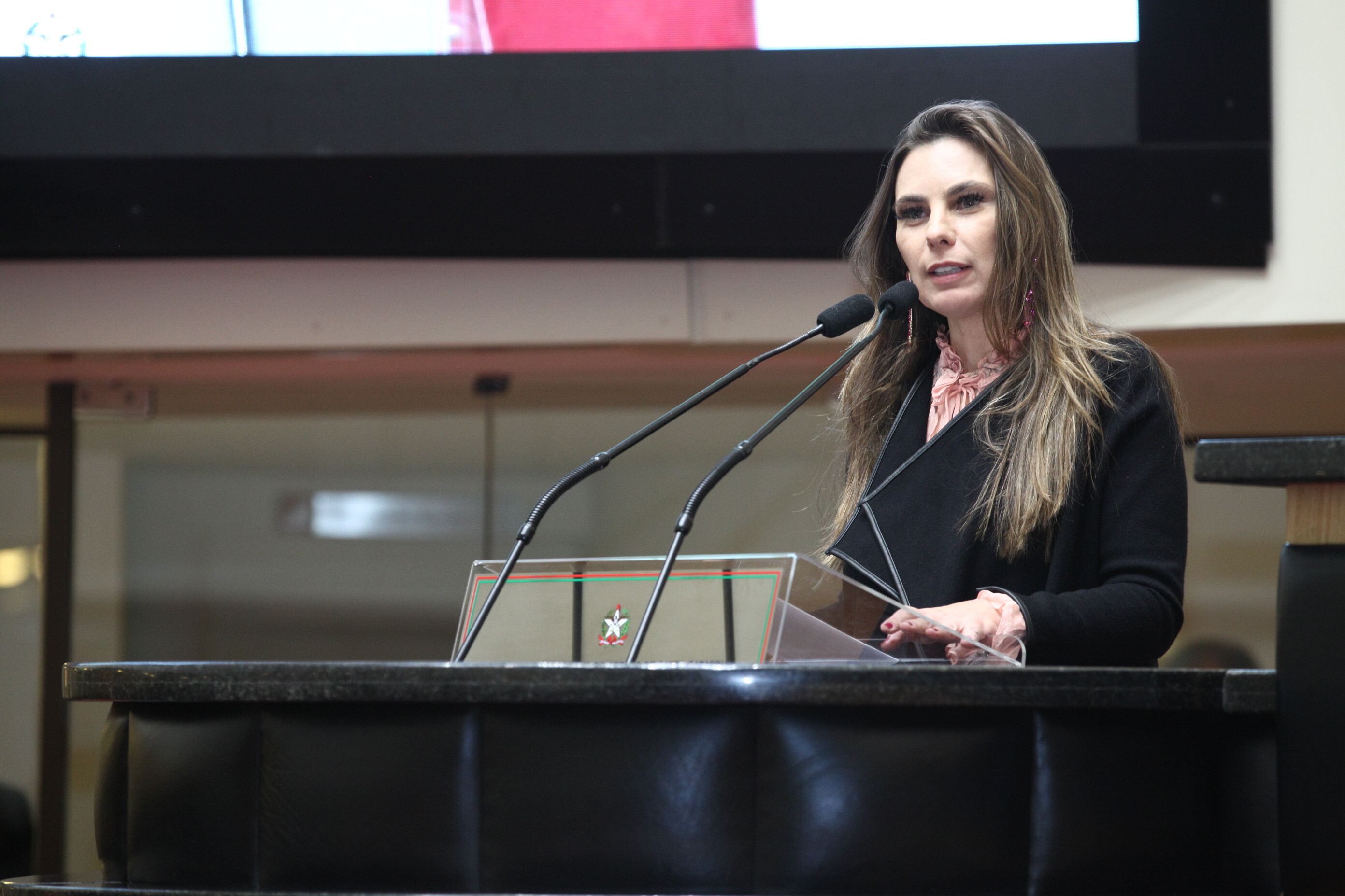 Paulinha comemora retomada da obra da estrada que liga Mirim Doce a Pouso Redondo