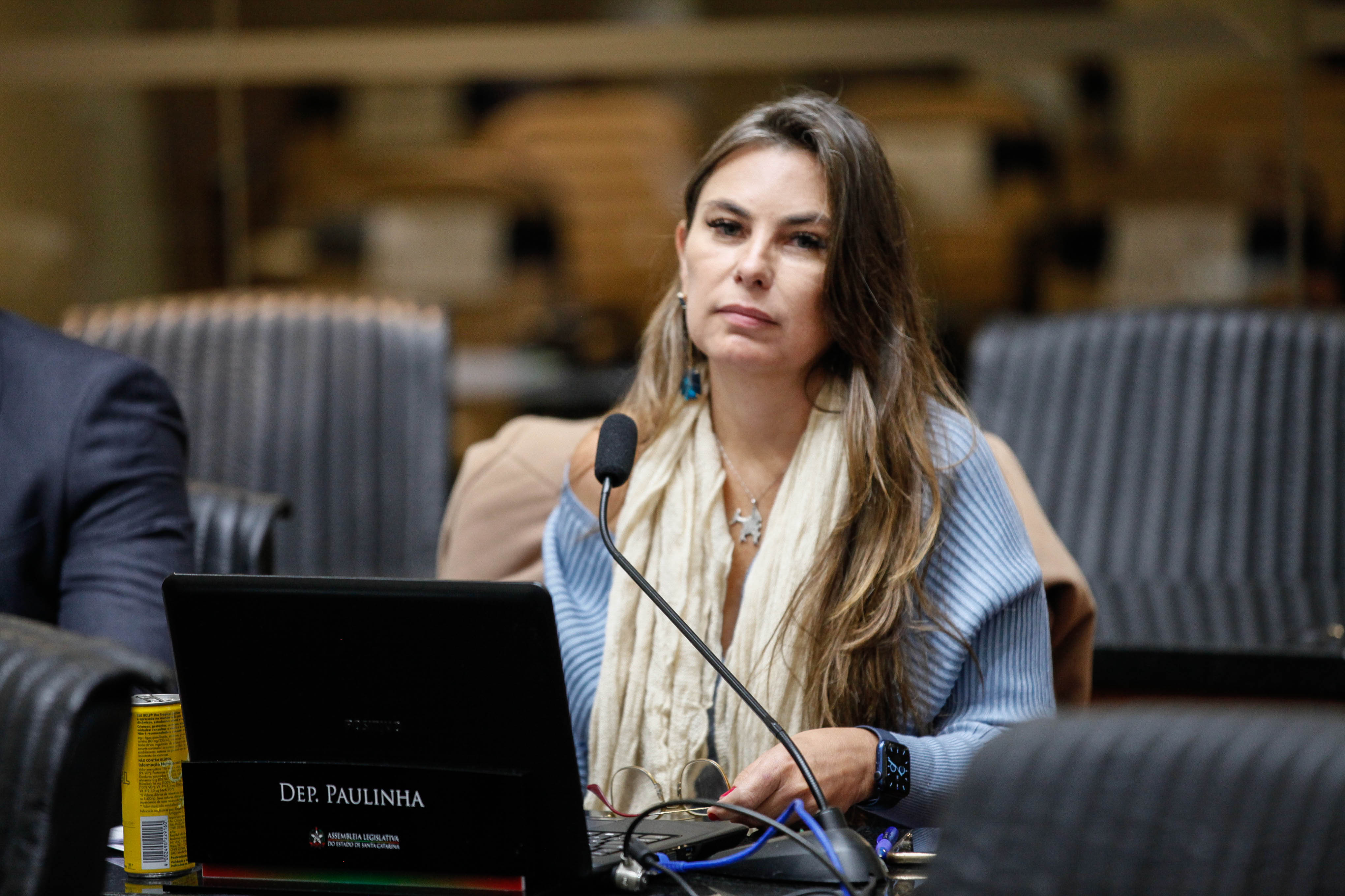 Deputada Ana Paula da Silva (PDT)