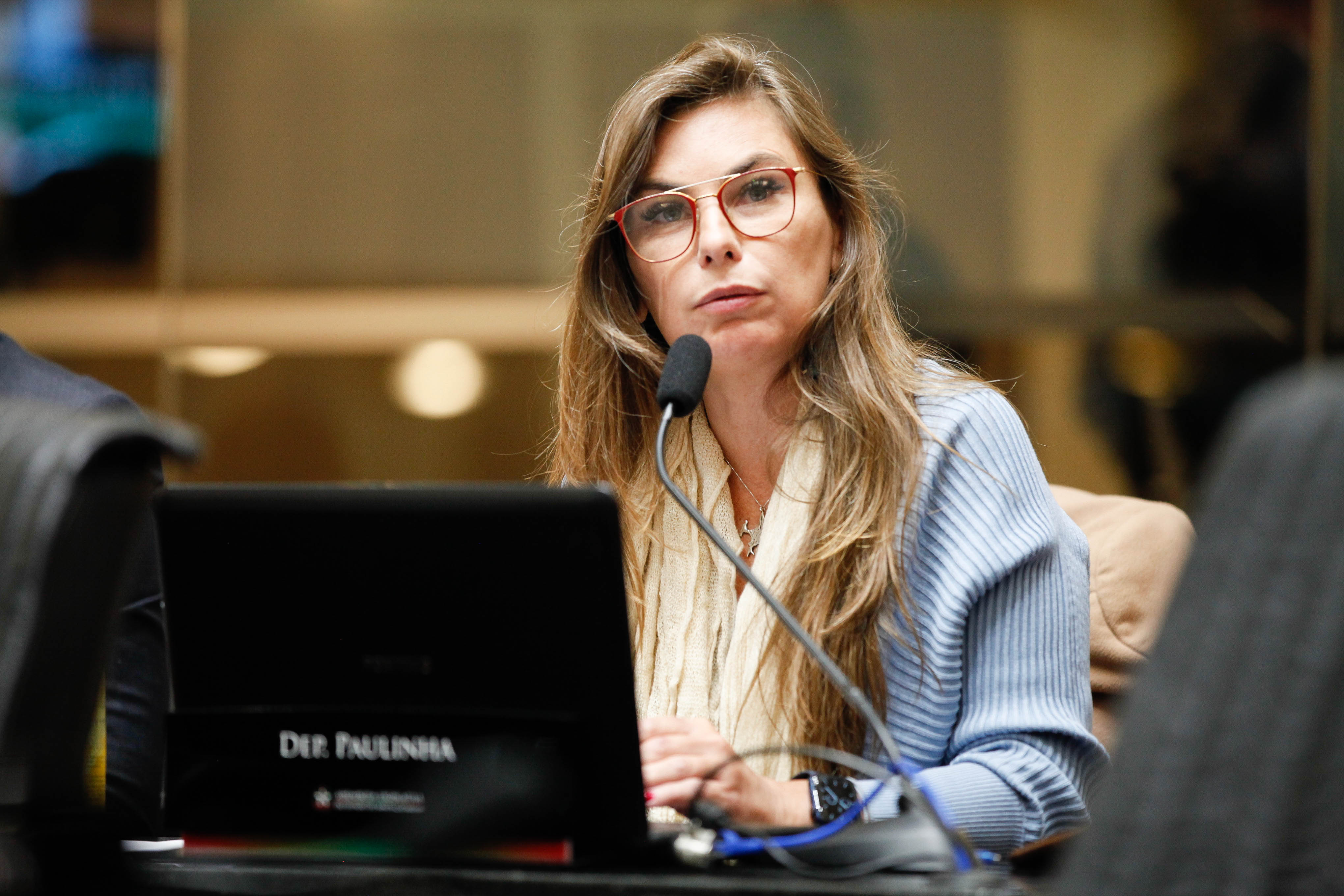 Deputada Ana Paula da Silva (PDT)