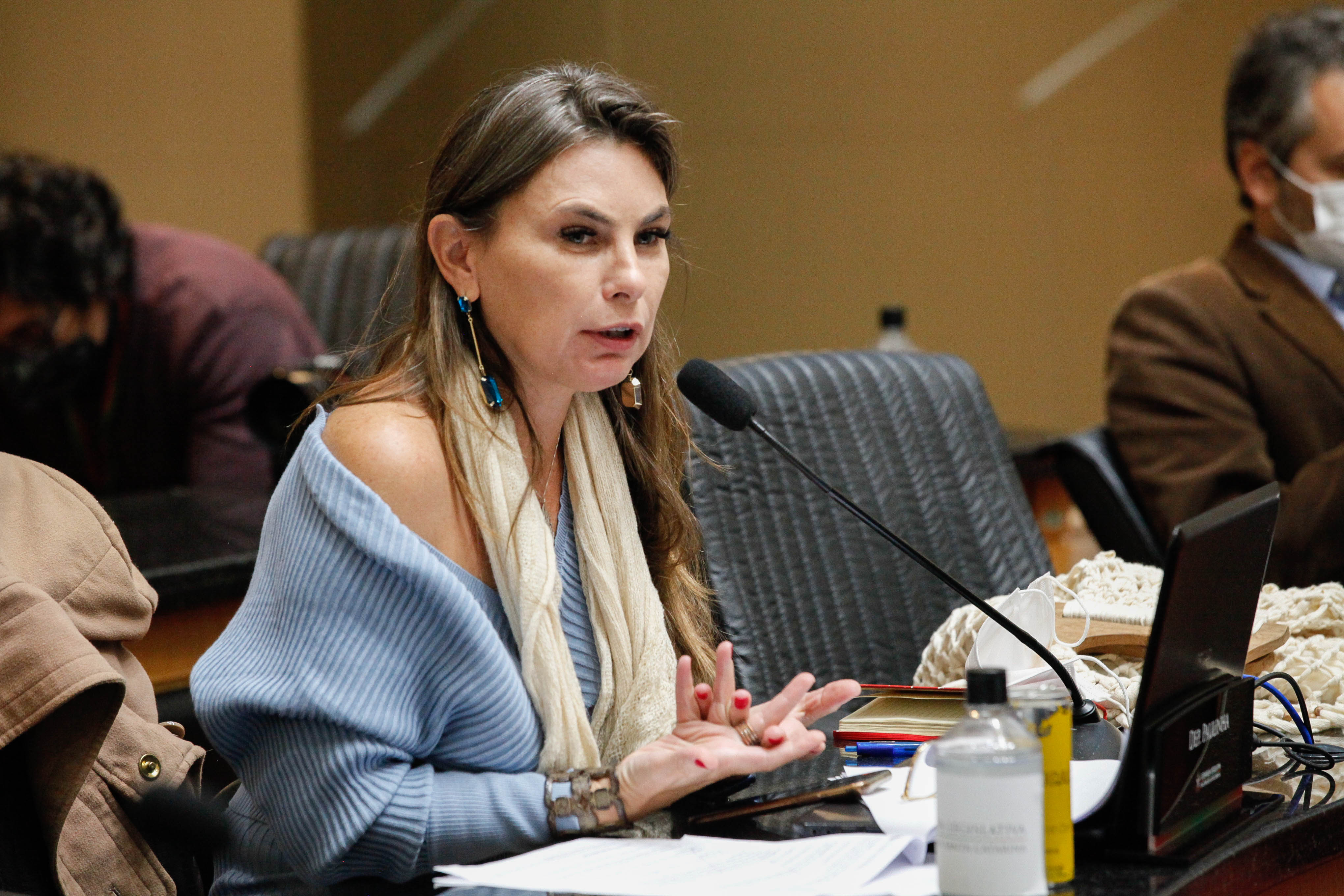 Deputada Ana Paula da Silva (PDT)
