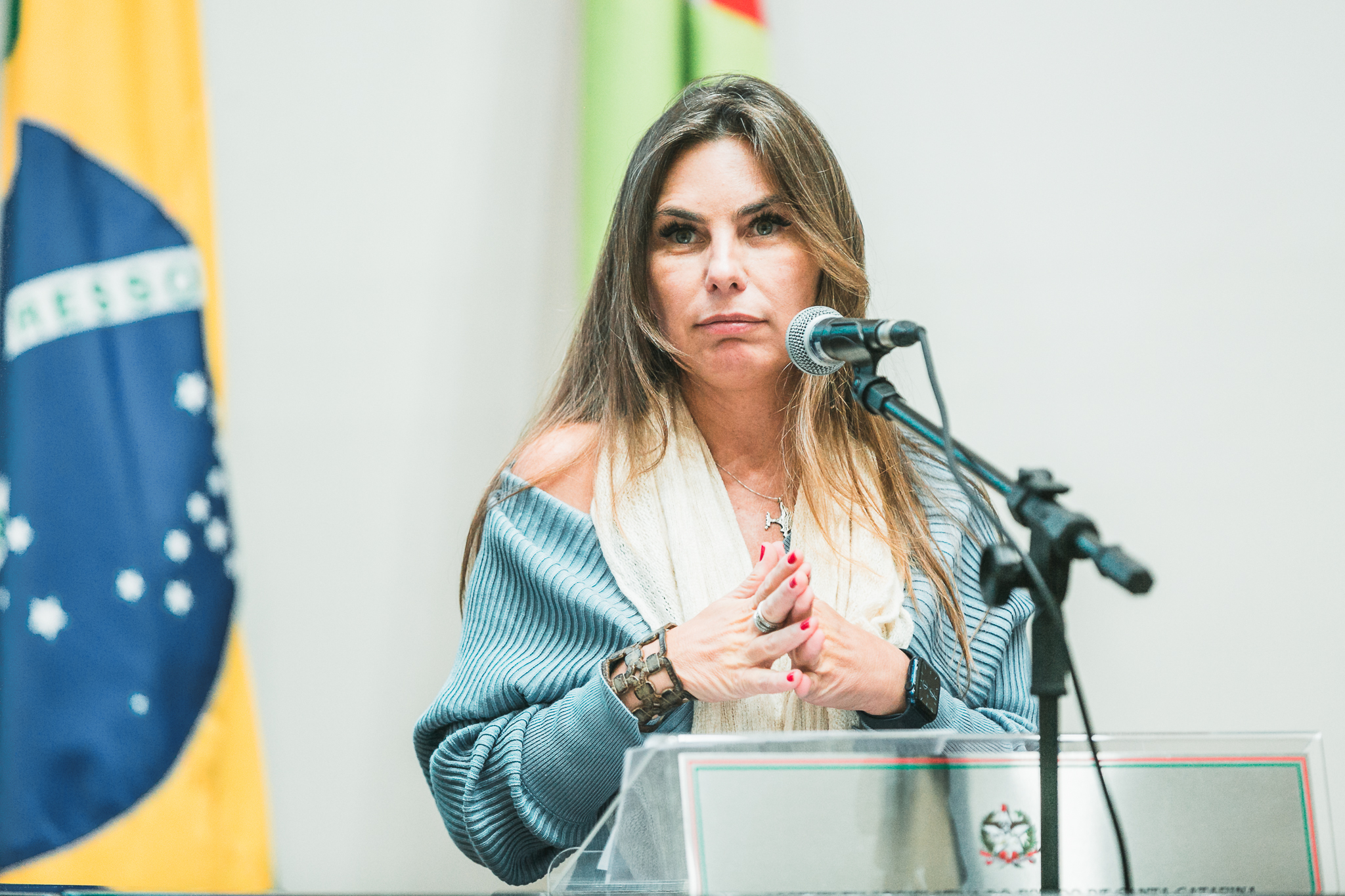 Deputada Ana Paula da Silva (PDT)