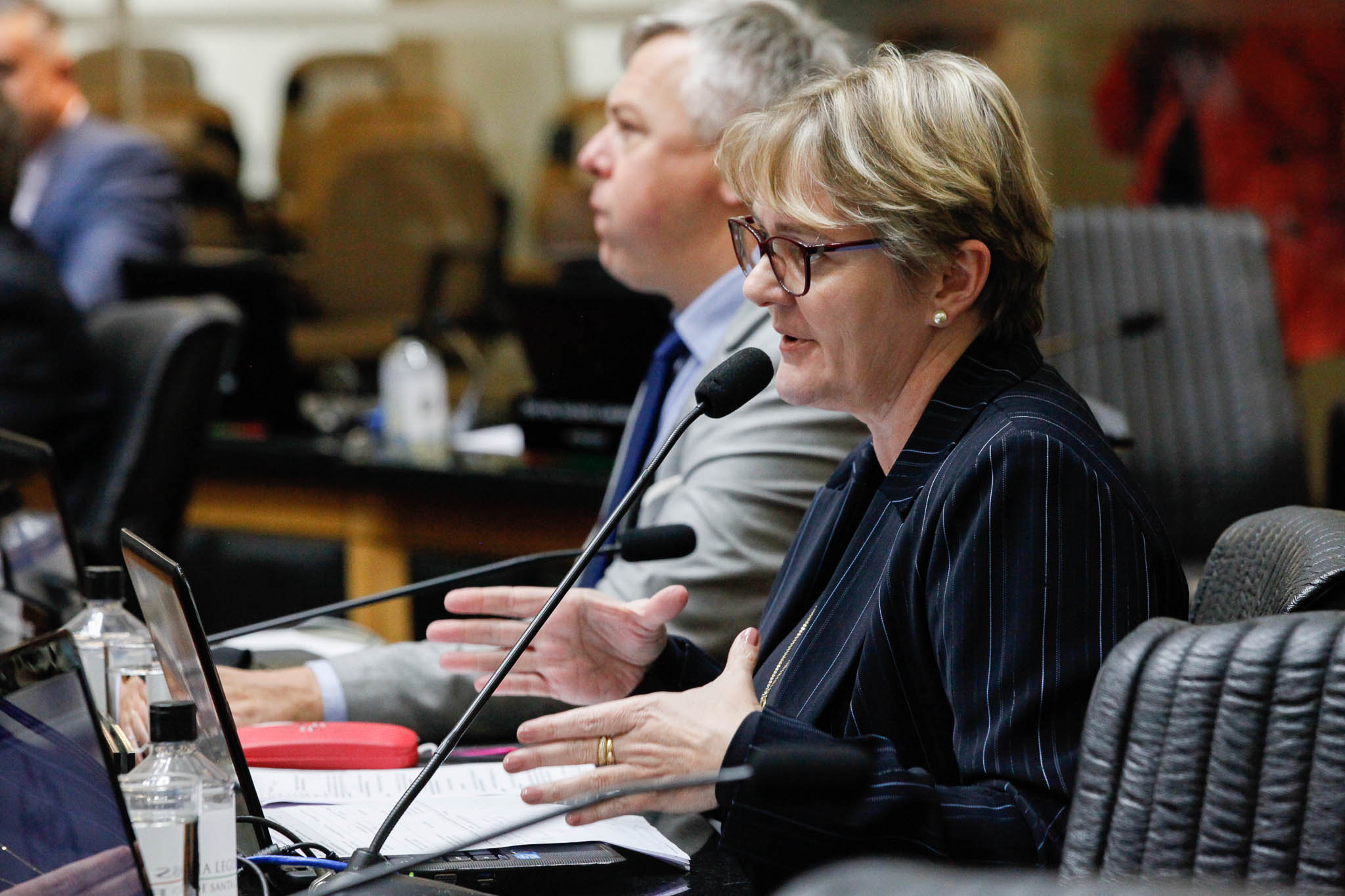 Deputada Luciane Carminatti (PT)