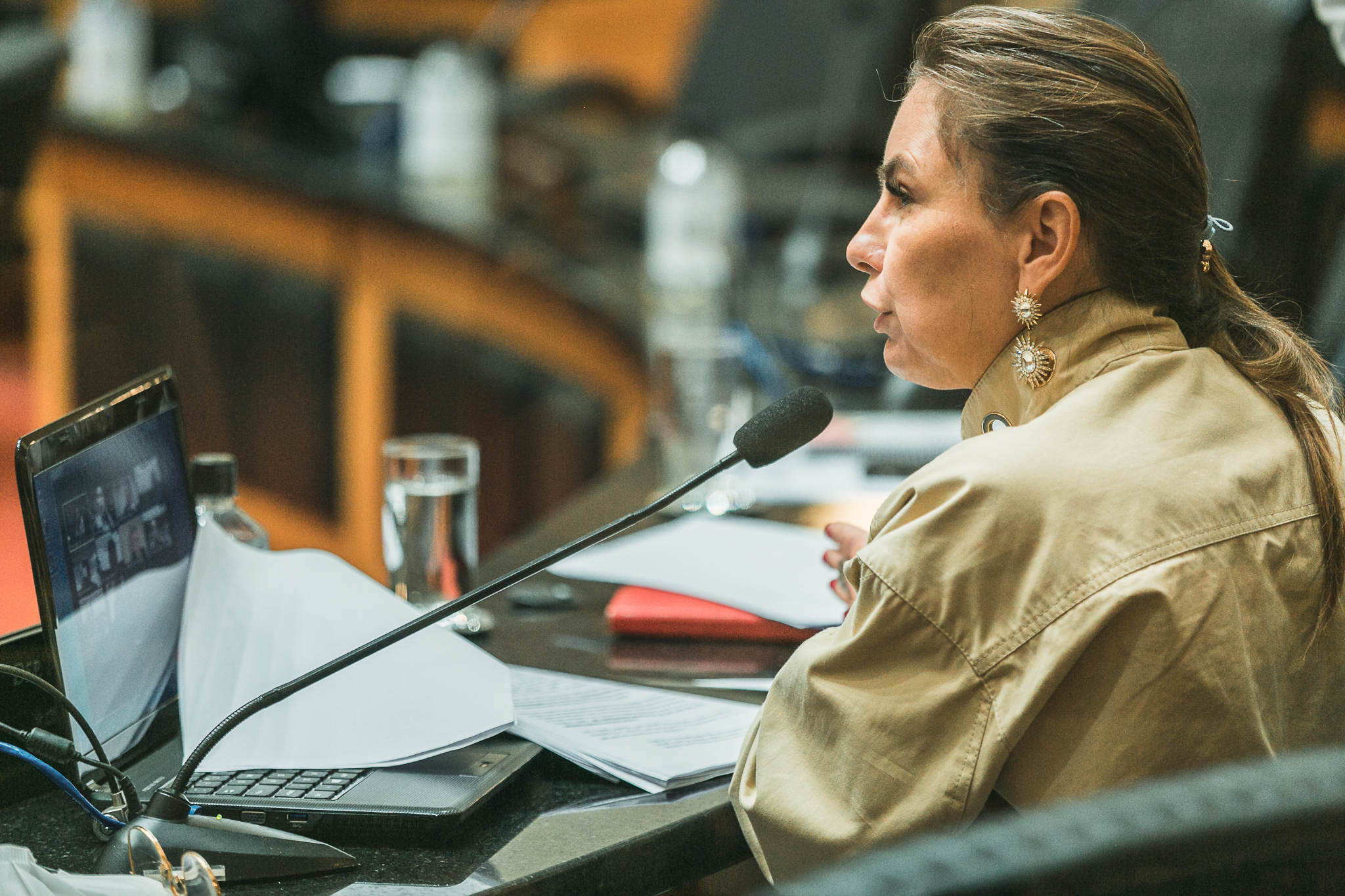 Deputada Ana Paula da Silva