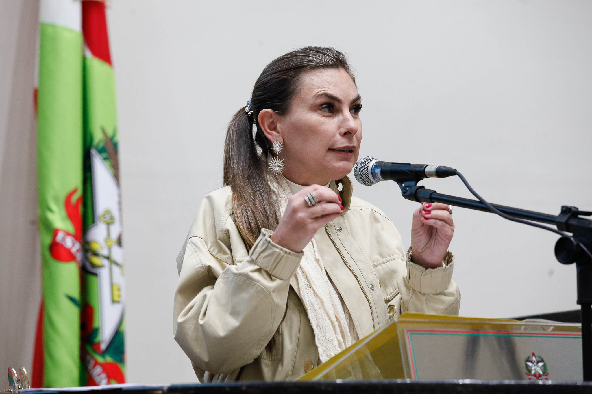 Deputada Ana Paula da Silva (-)